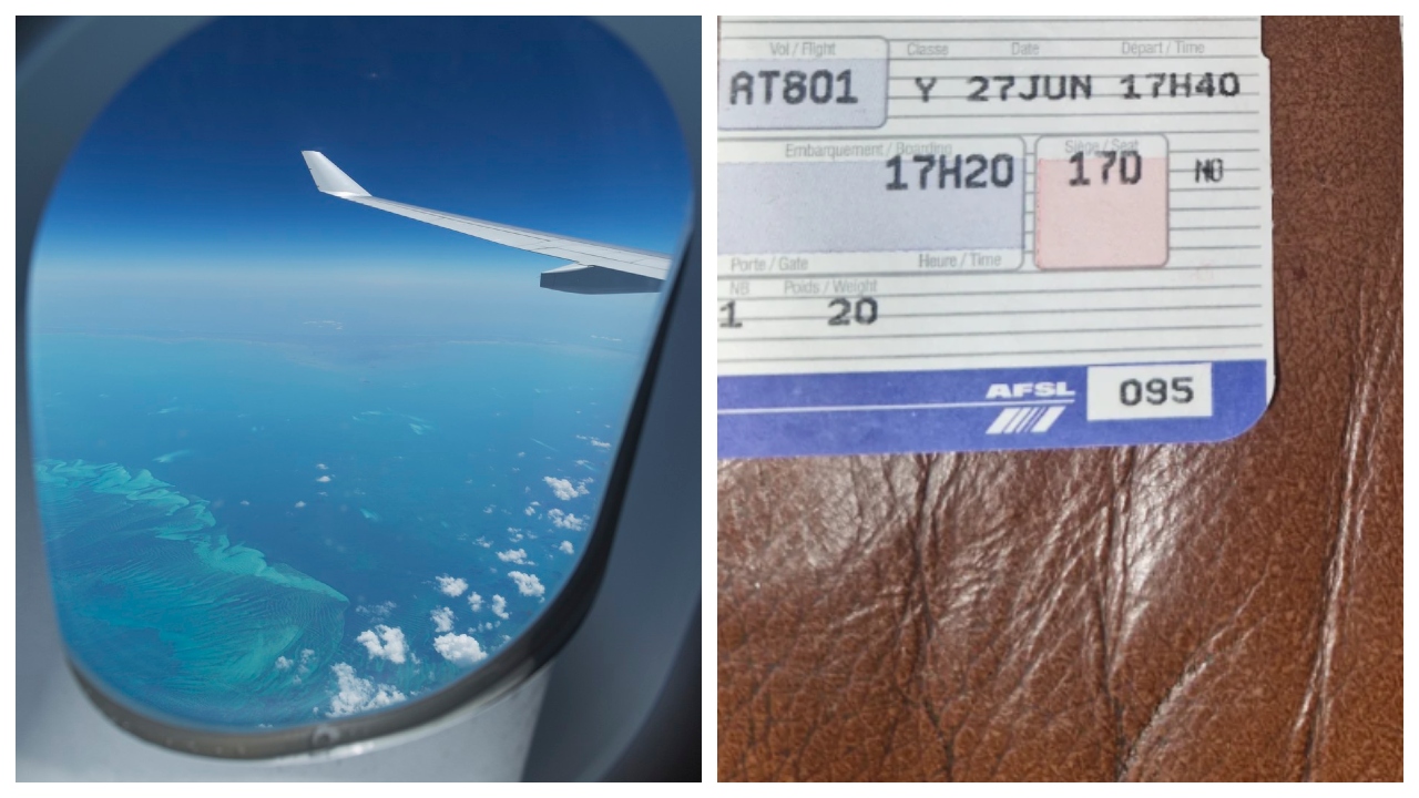 BeFunky-collage - 2024-08-30T152755.863