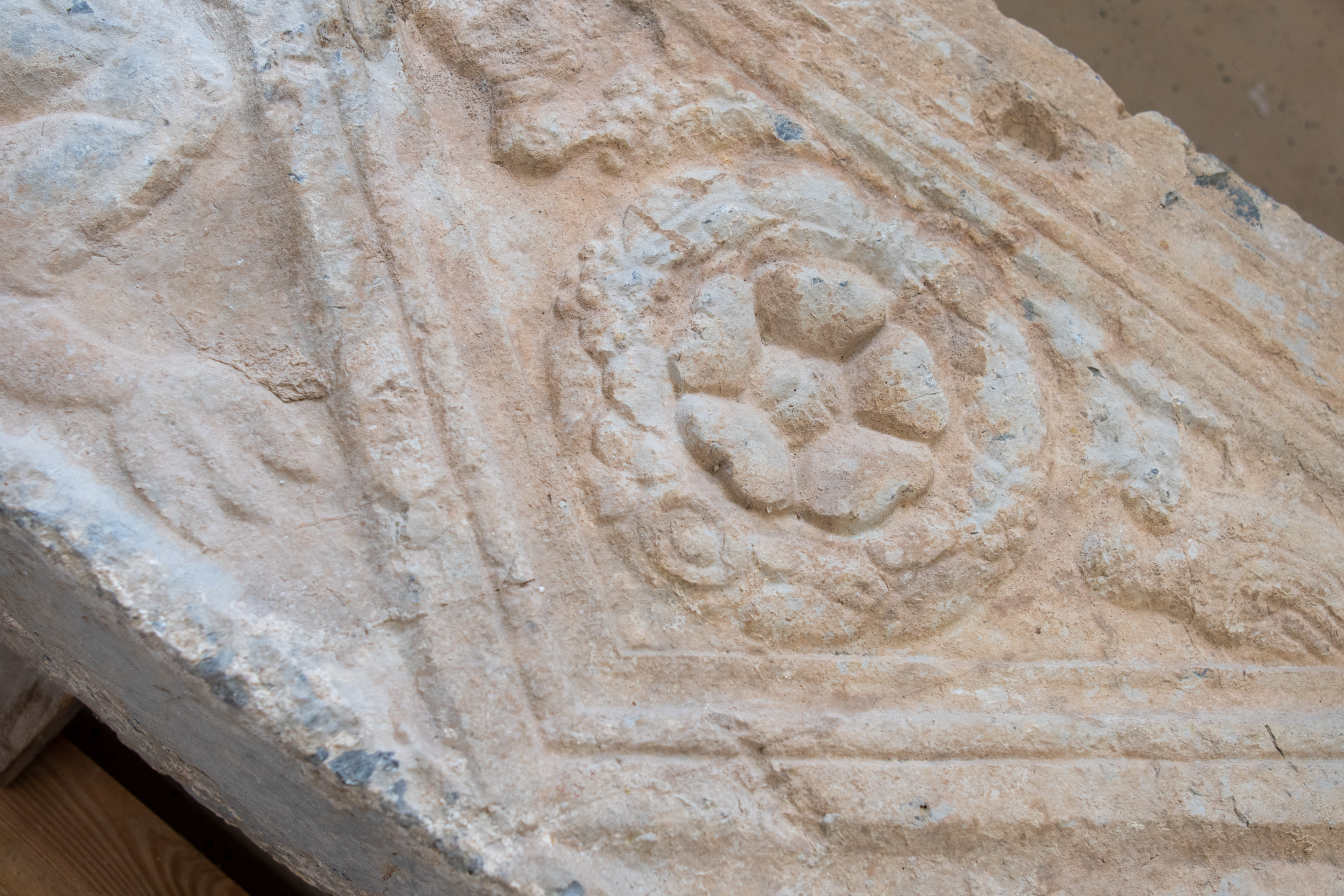 Foto: Egon Parteli/N1