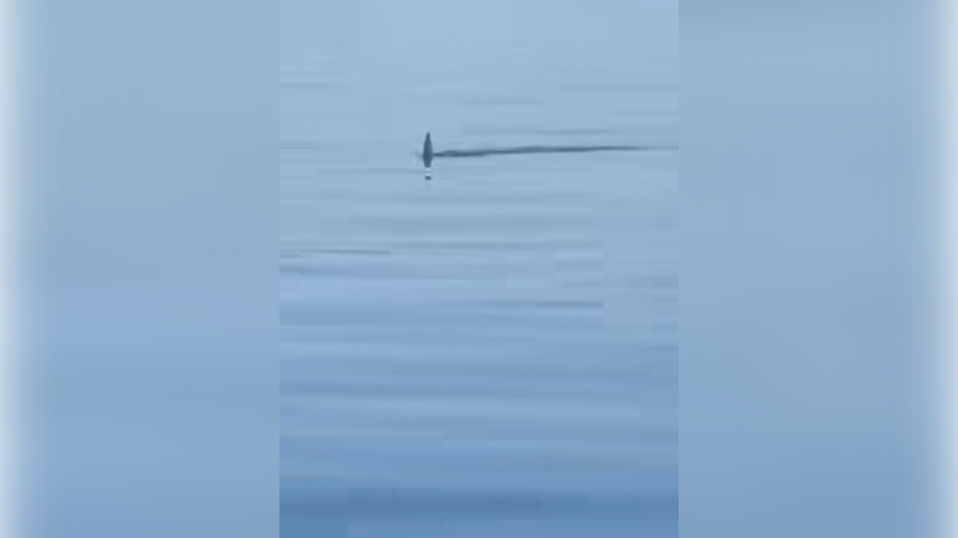 high-res-image - 2024-08-31T144641.715