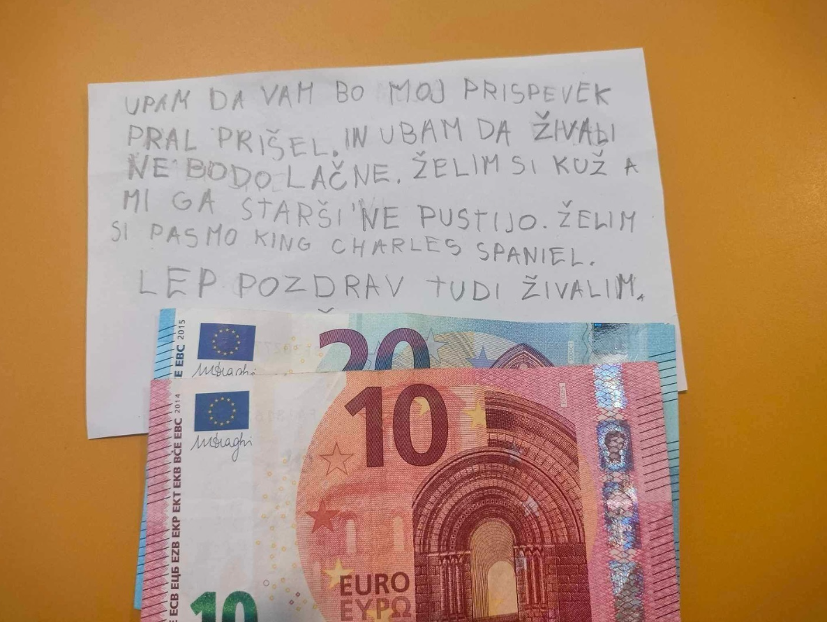 Posnetek zaslona 2024-08-31 155914