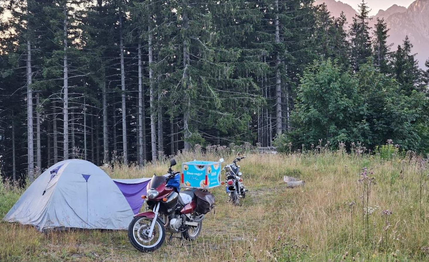 Divje kampisti so se utaborili na območju Jezerskega. (Foto: bralka)