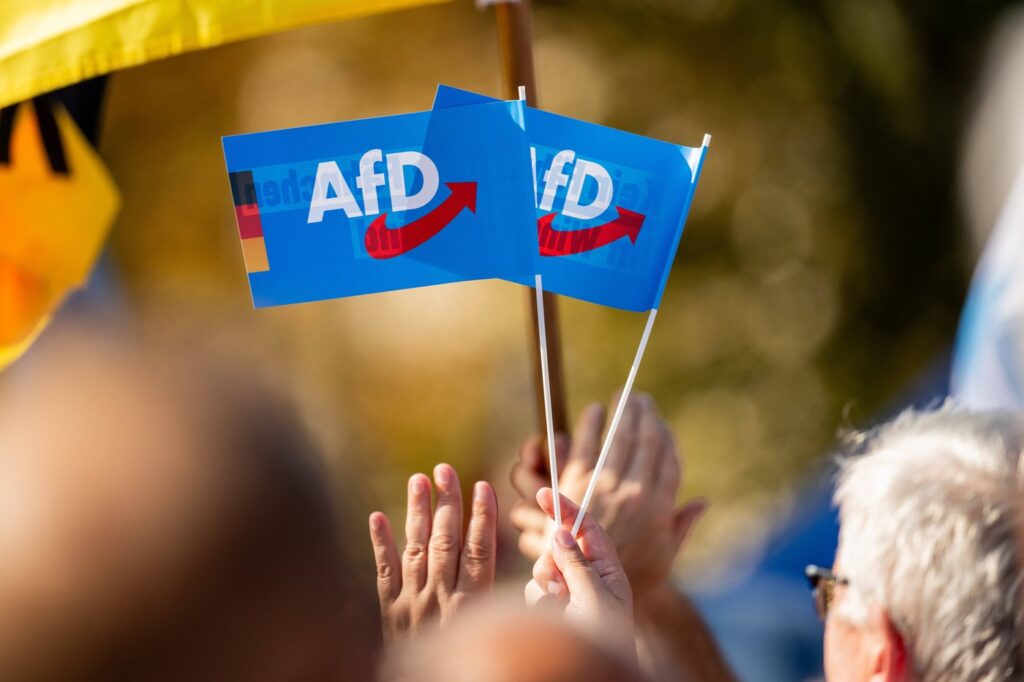 1725274833-Afd-zastava-1024x682.jpg