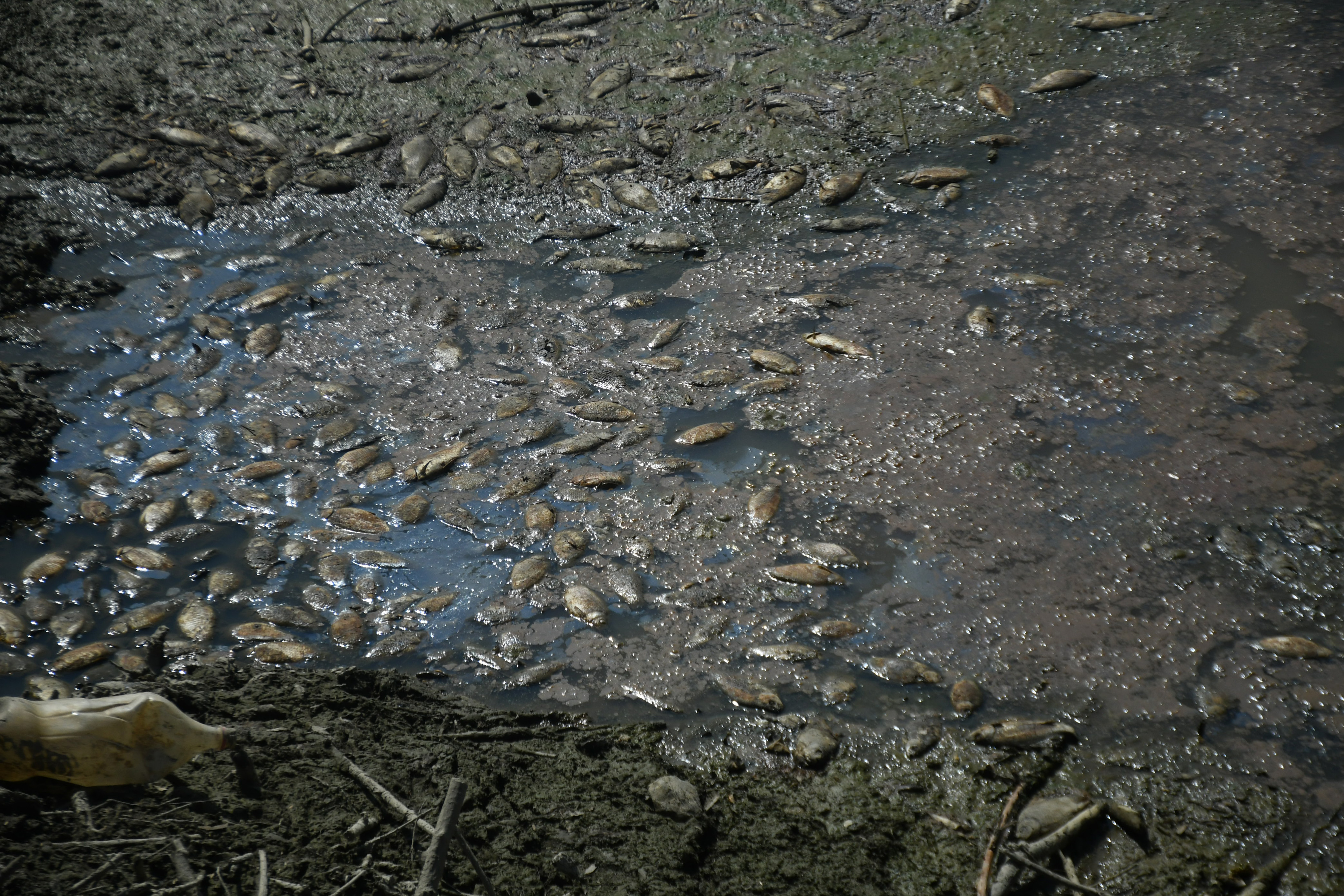 Foto: Damir Spehar/PIXSELL/BOBO