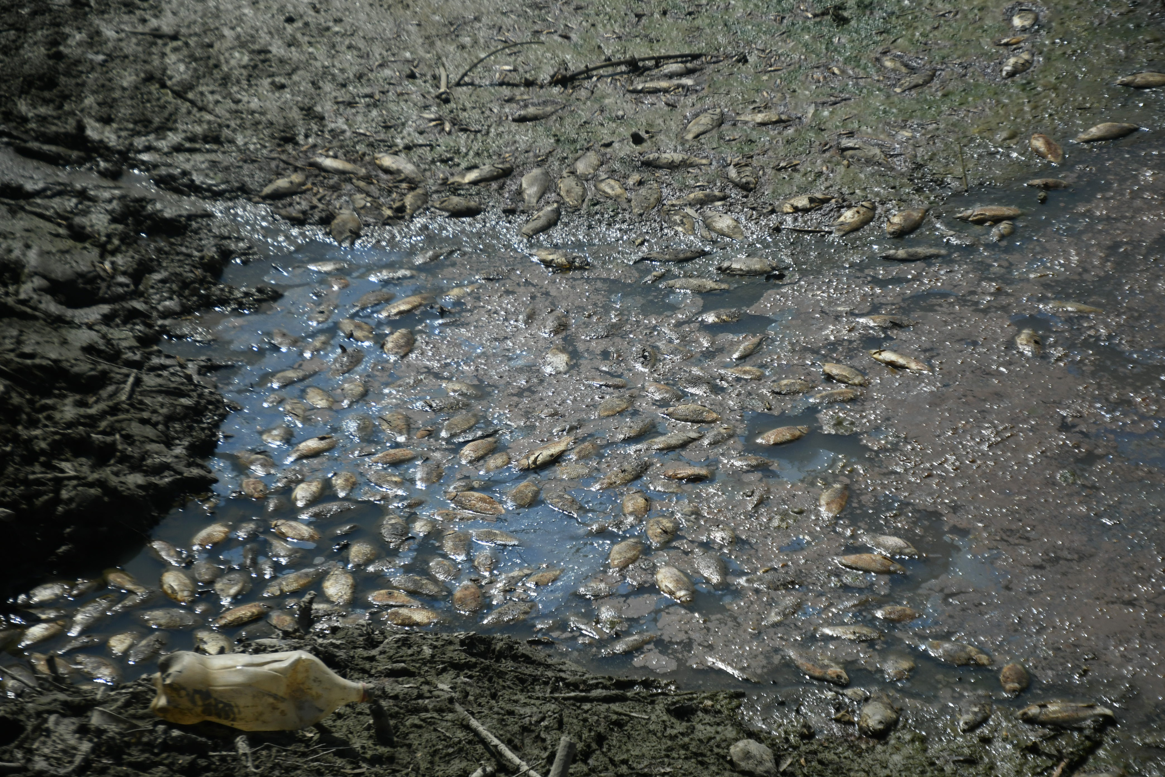 Foto: Damir Spehar/PIXSELL/BOBO