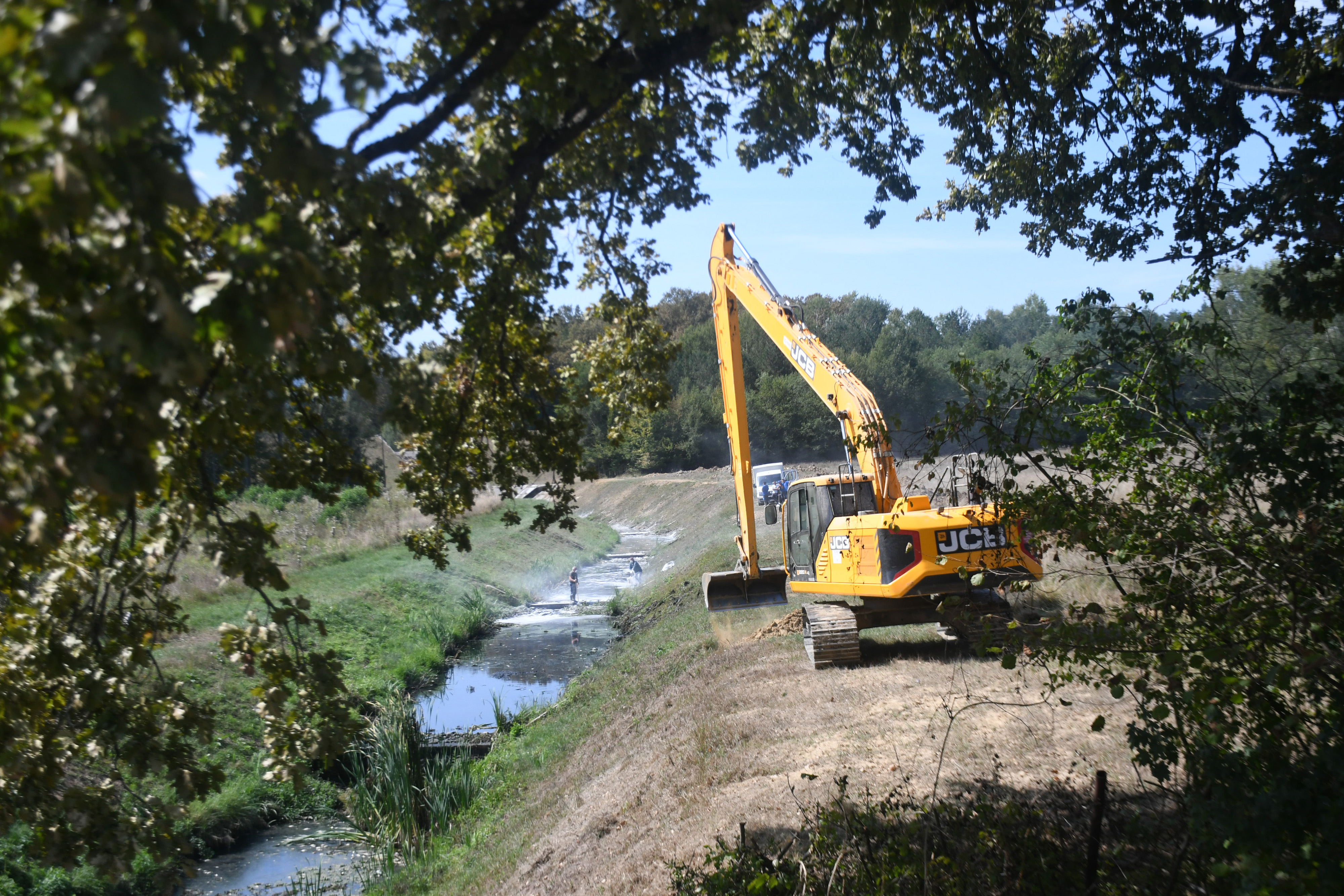 Jezero Lisičine, poginule ribe