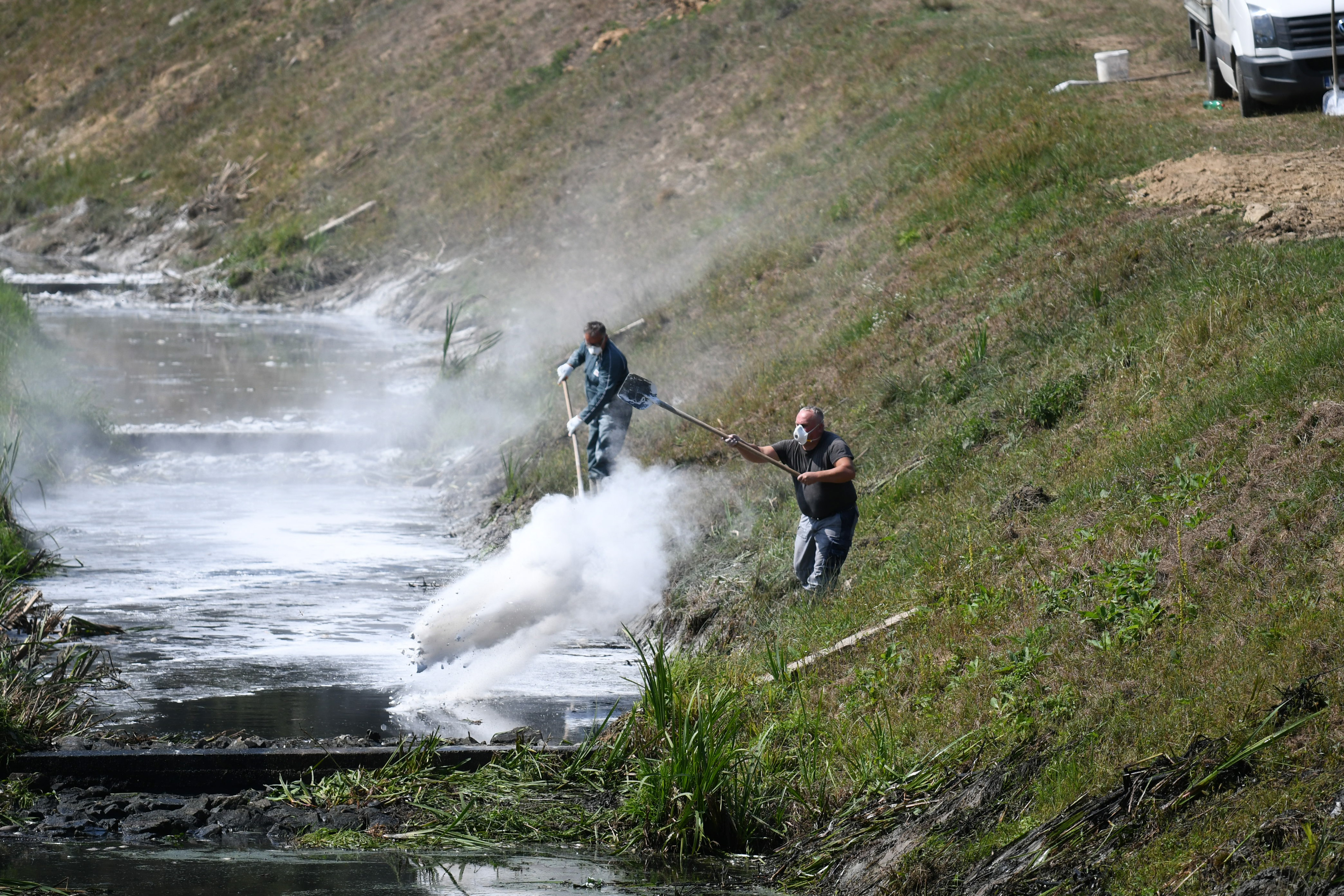Jezero Lisičine, poginule ribe