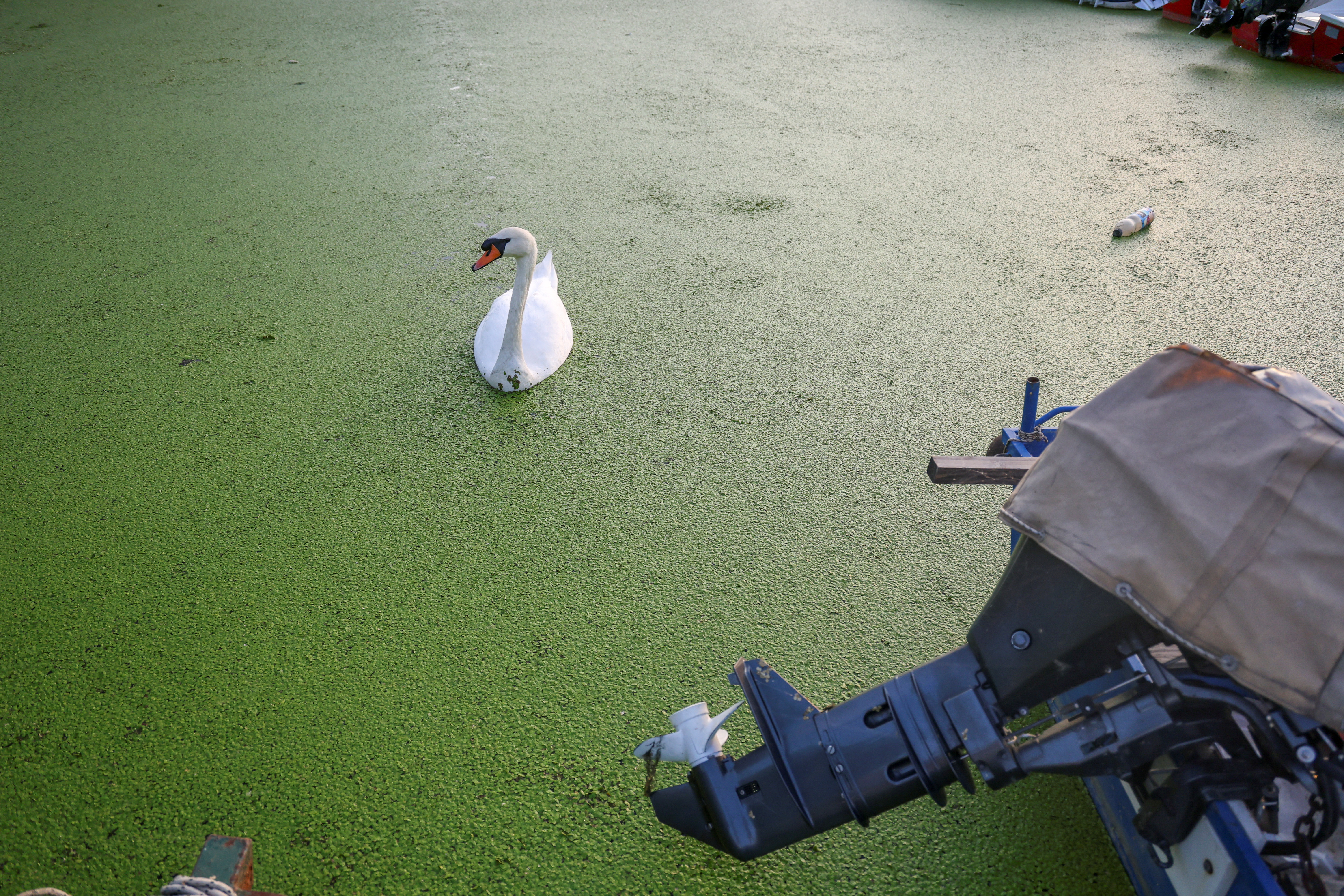 Foto: Djordje Kojadinovic/REUTERS