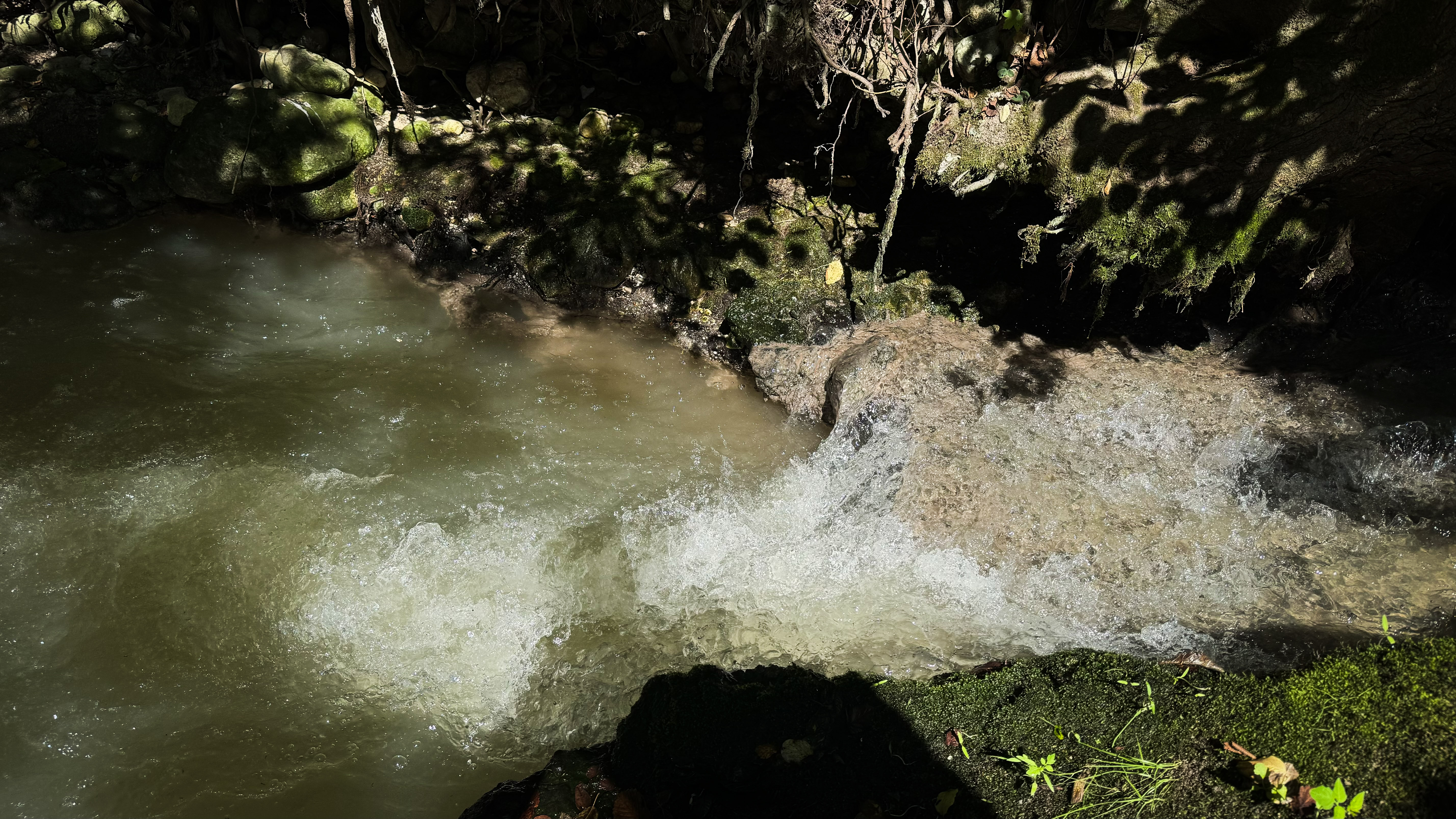 S fekalijami onesnažen potok Jezernica na Bledu. (Foto: Jan Gregorc/N1)