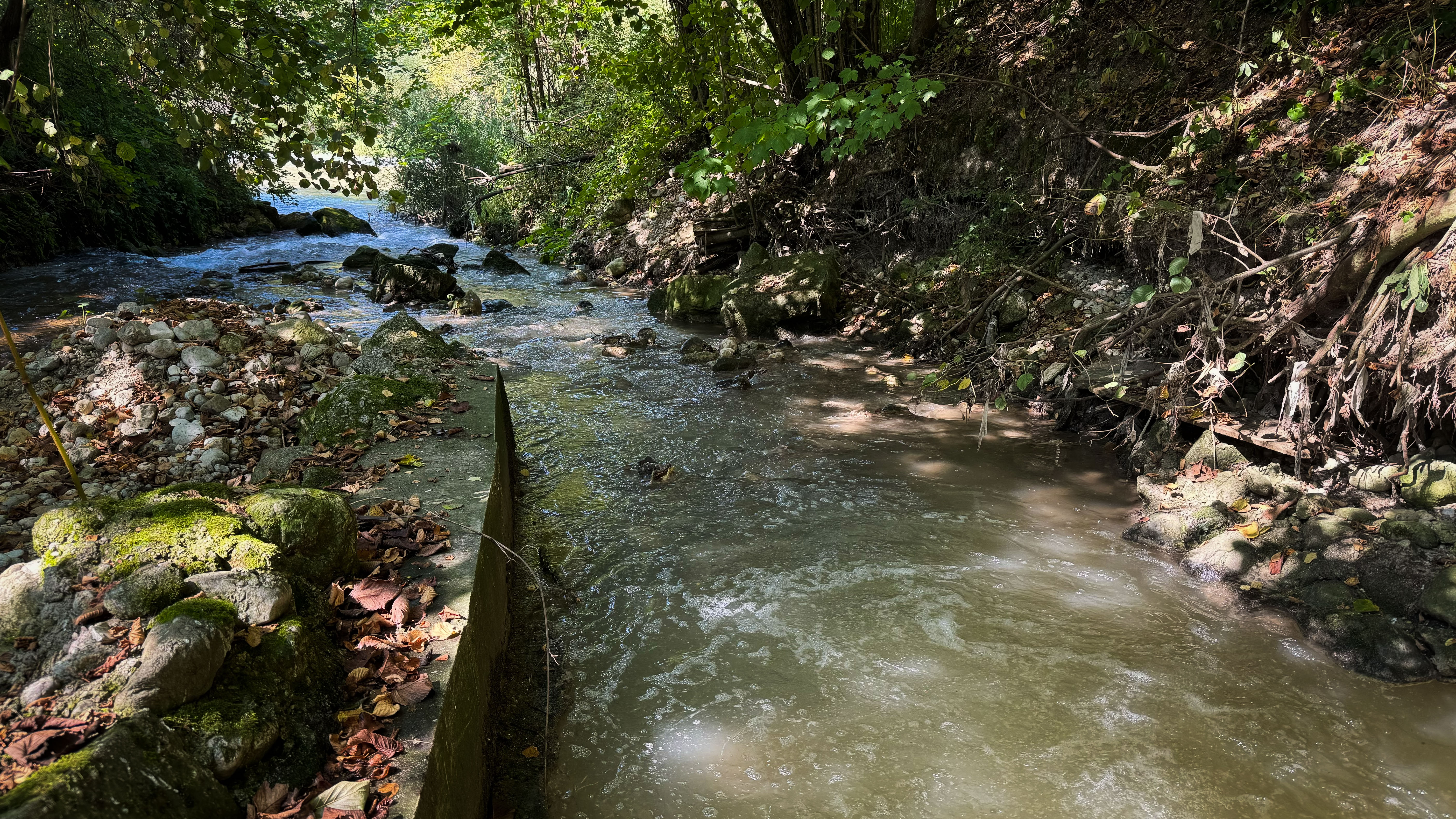 S fekalijami onesnažen potok Jezernica na Bledu. (Foto: Jan Gregorc/N1)