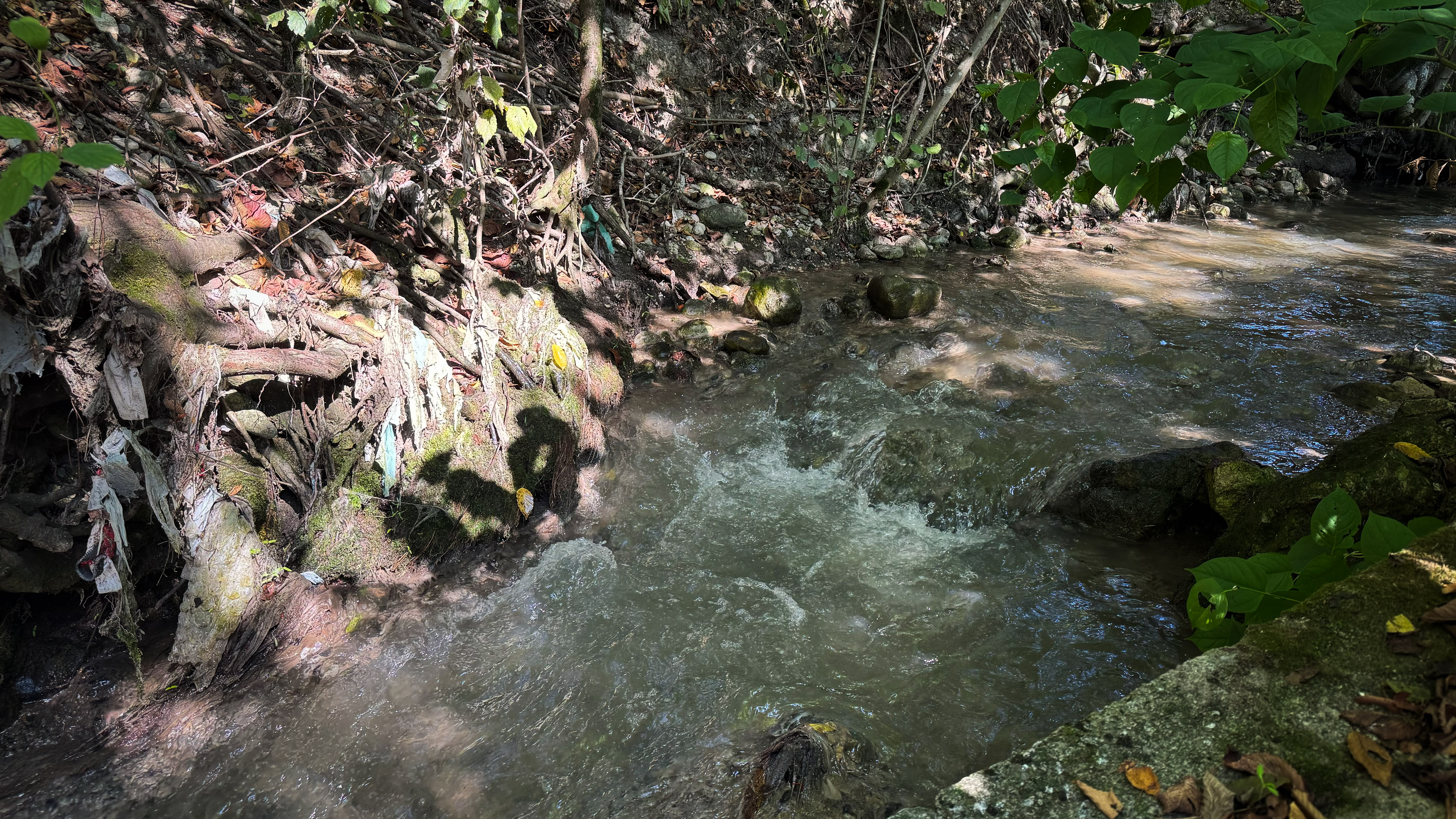 S fekalijami onesnažen potok Jezernica na Bledu. (Foto: Jan Gregorc/N1)