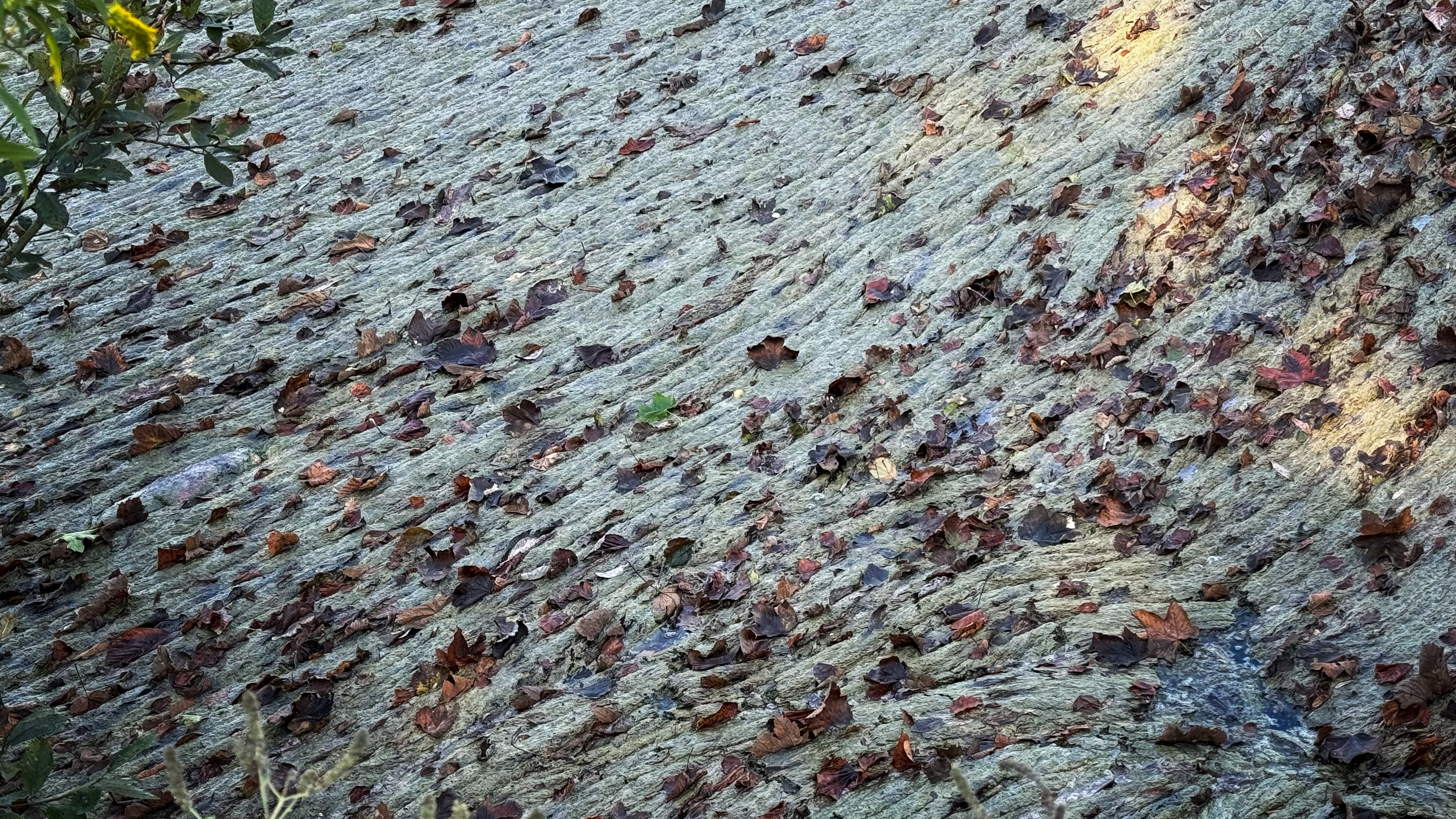 Onesnaženje na sotočju Save Bohinjke in Save Dolinke. (Foto: Jan Gregorc/N1)