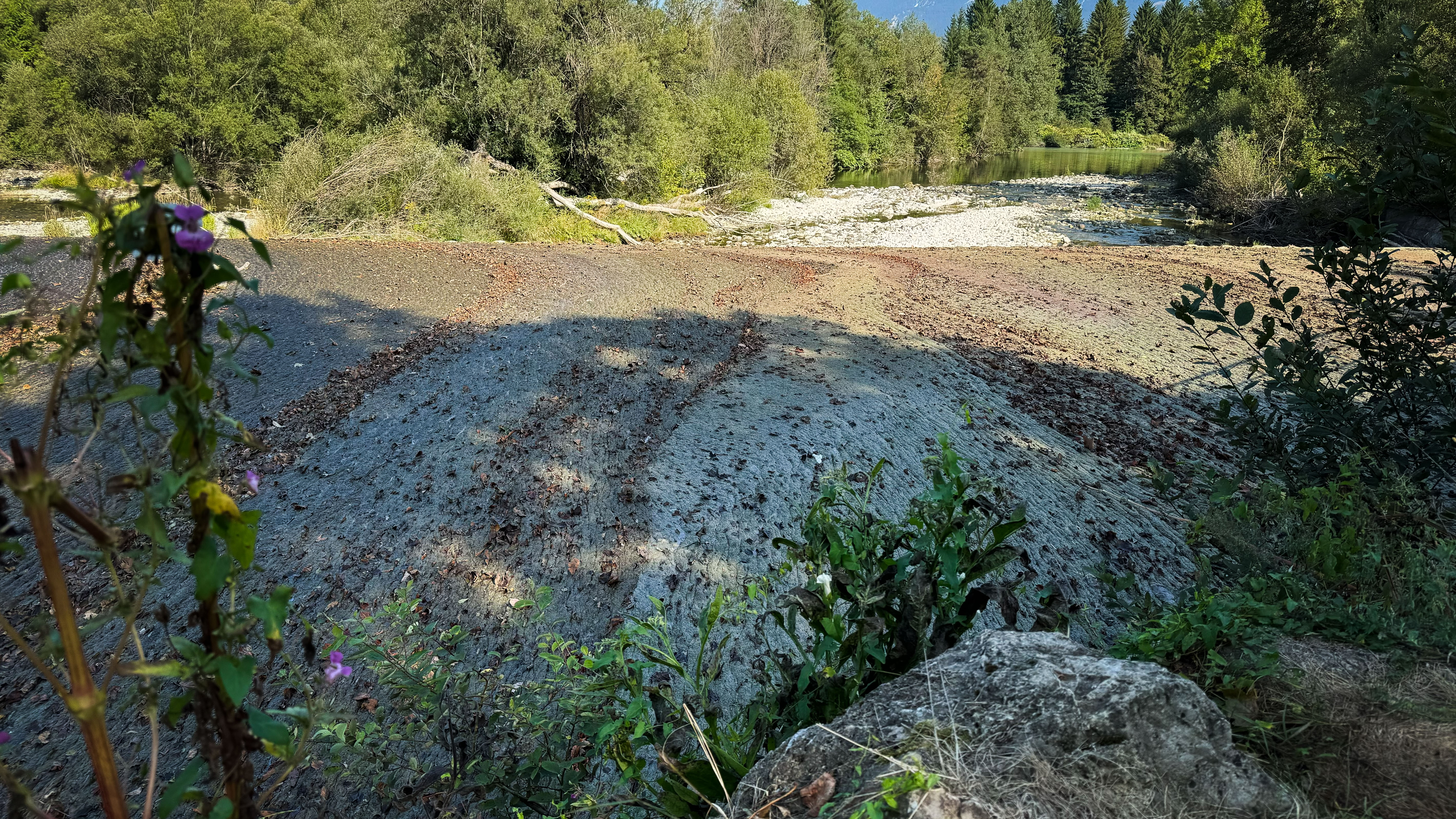 , fekalije, bled, onesnaženje, sava dolinka, sava bohinjka