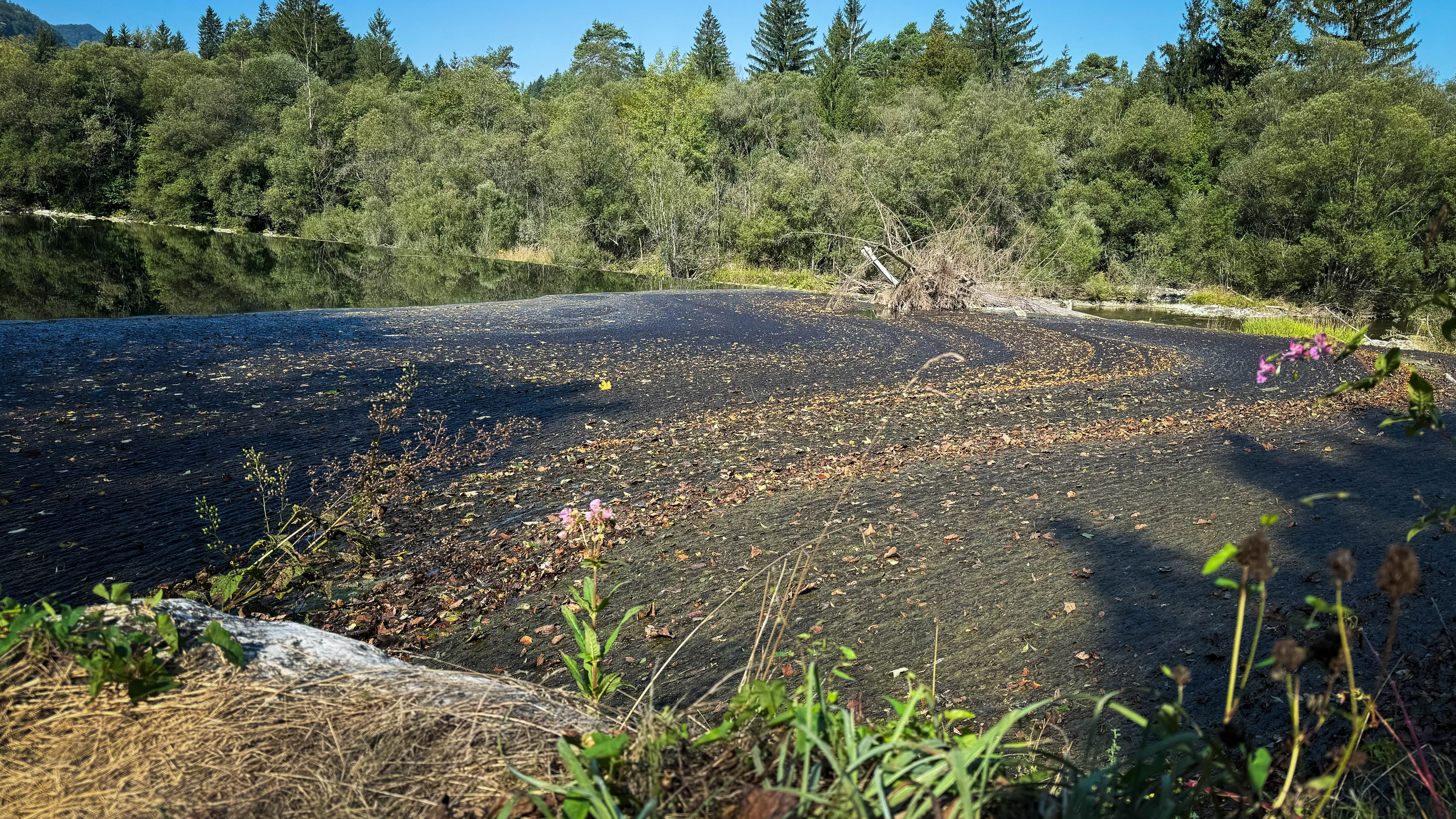 , fekalije, bled, onesnaženje, sava dolinka, sava bohinjka