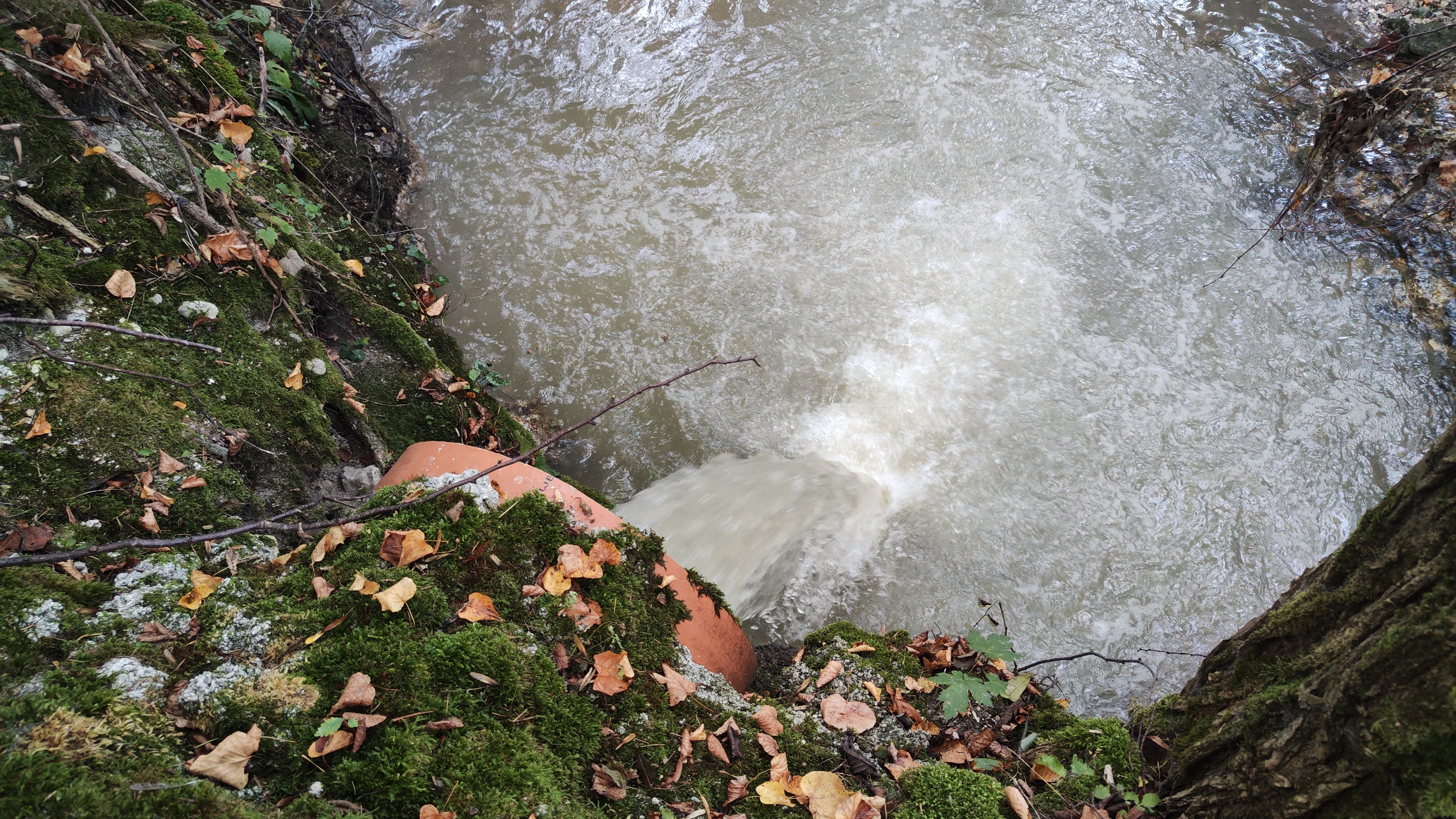 jezernica, fekalije, bled, onesnaženje