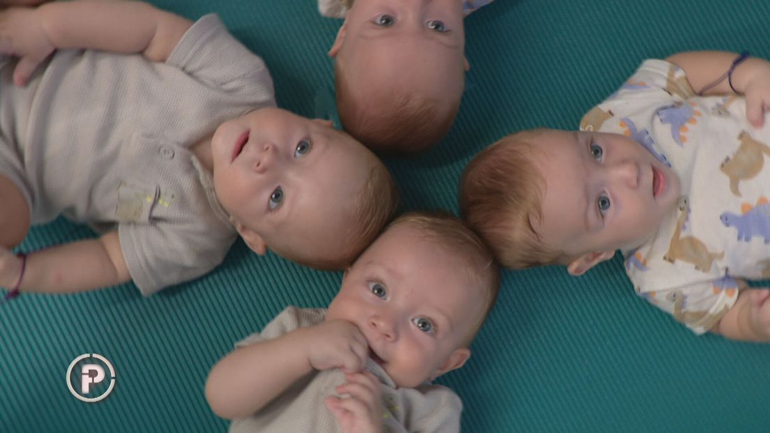 provjereno-cetvorke1