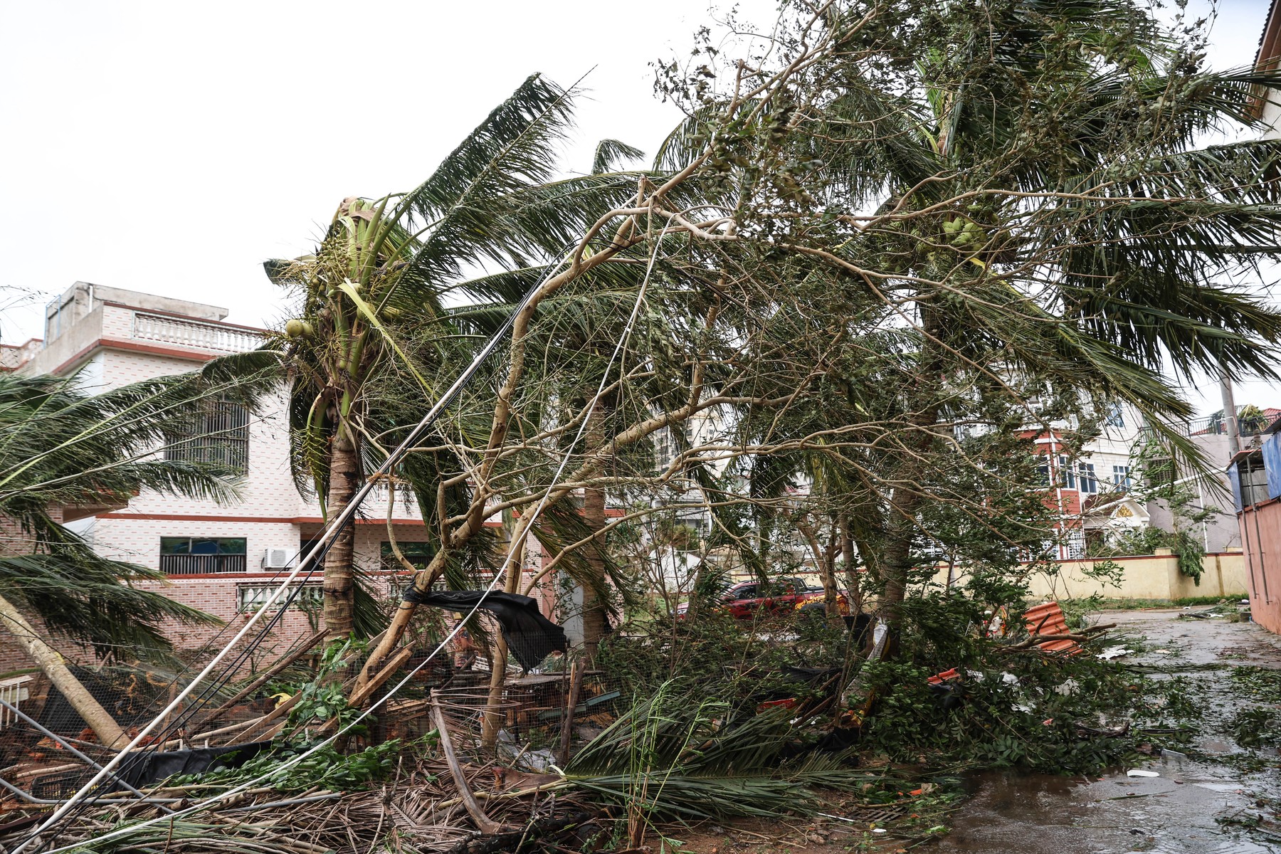 Tajfun Yagi je dosegel sever Vietnama (Foto: PROFIMEDIA)