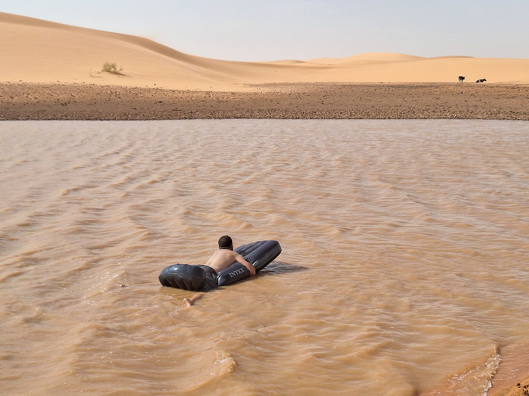 Sahara, dež, poplava, puščava