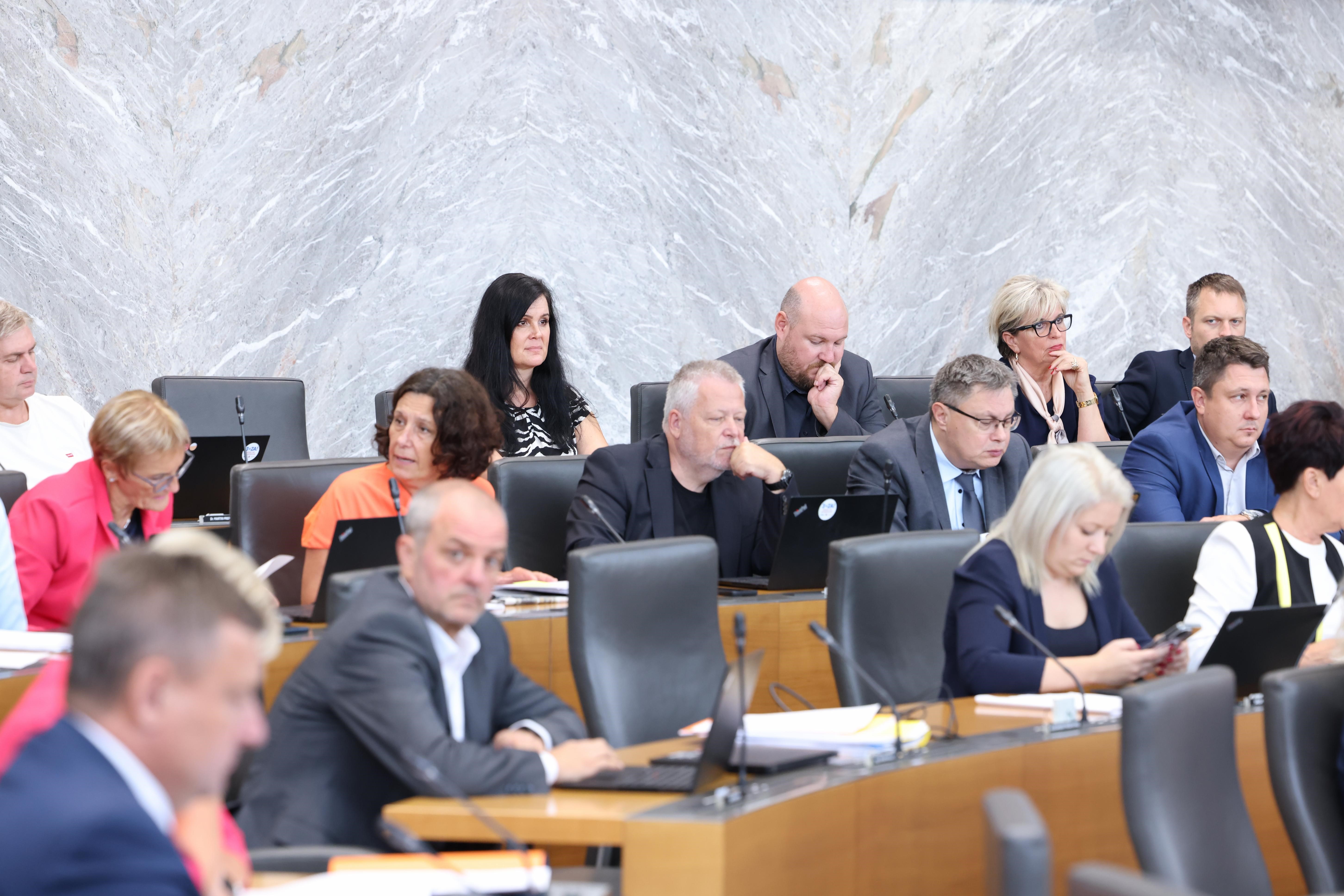 Foto: Matija Sušnik/DZ