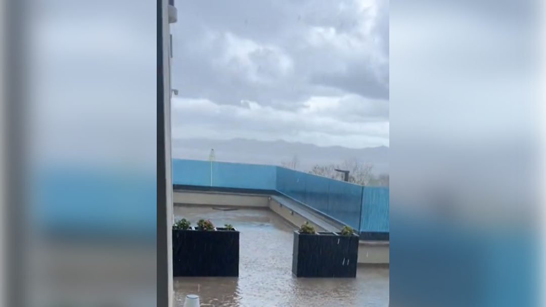 high-res-image - 2024-09-11T103055.260