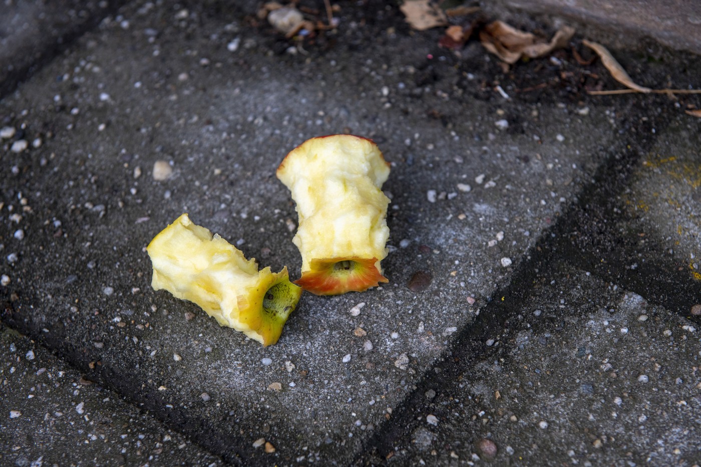 Apple core on the street