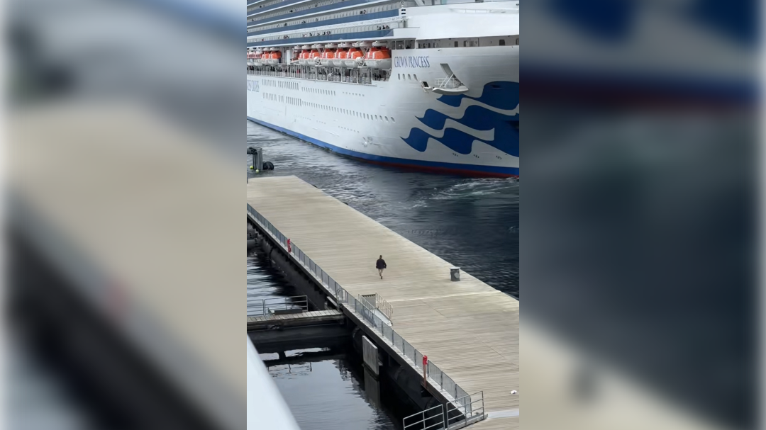 high-res-image - 2024-09-11T144234.943