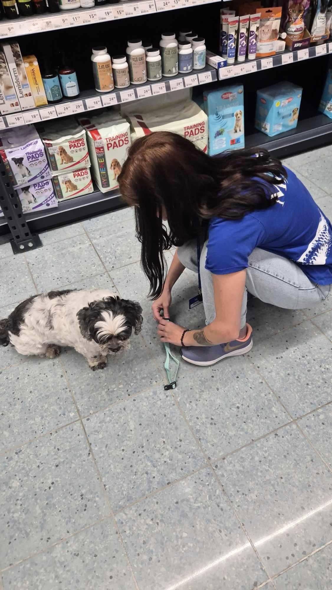 kuža, zanemarjen kuža, zloraba psa