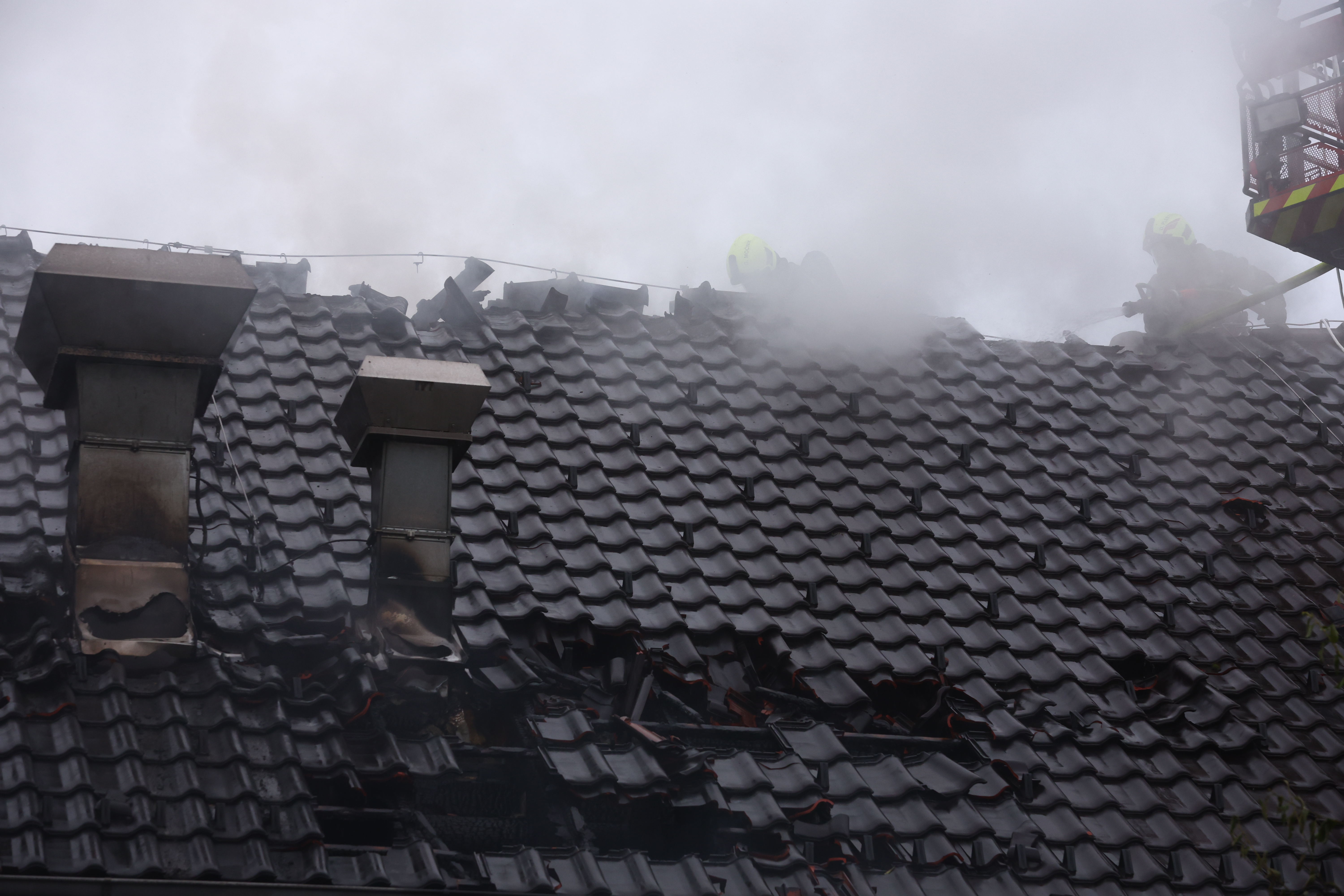 Foto: Borut Živulović/BOBO