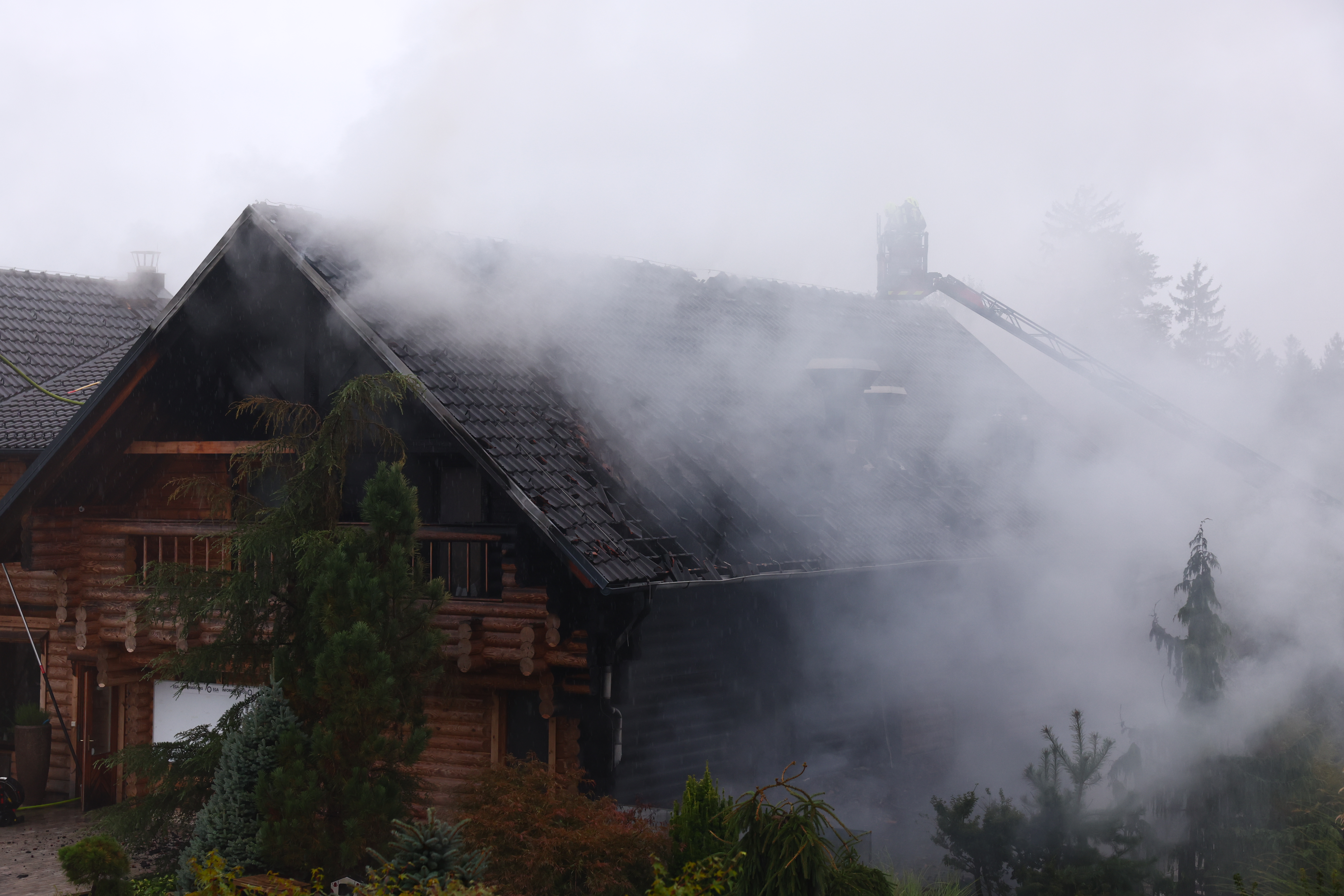 Foto: Borut Živulović/BOBO