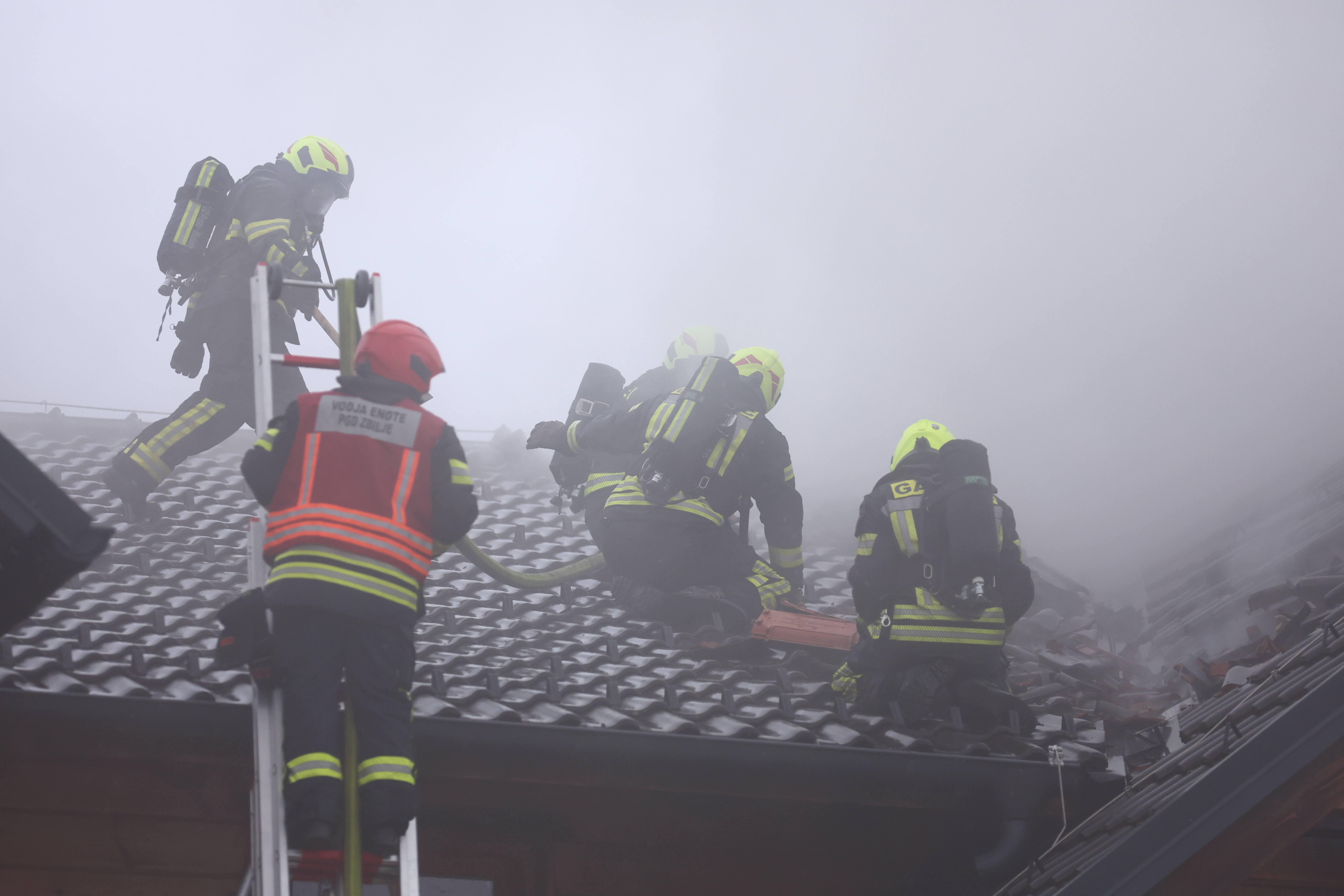 Foto: Borut Živulović/BOBO