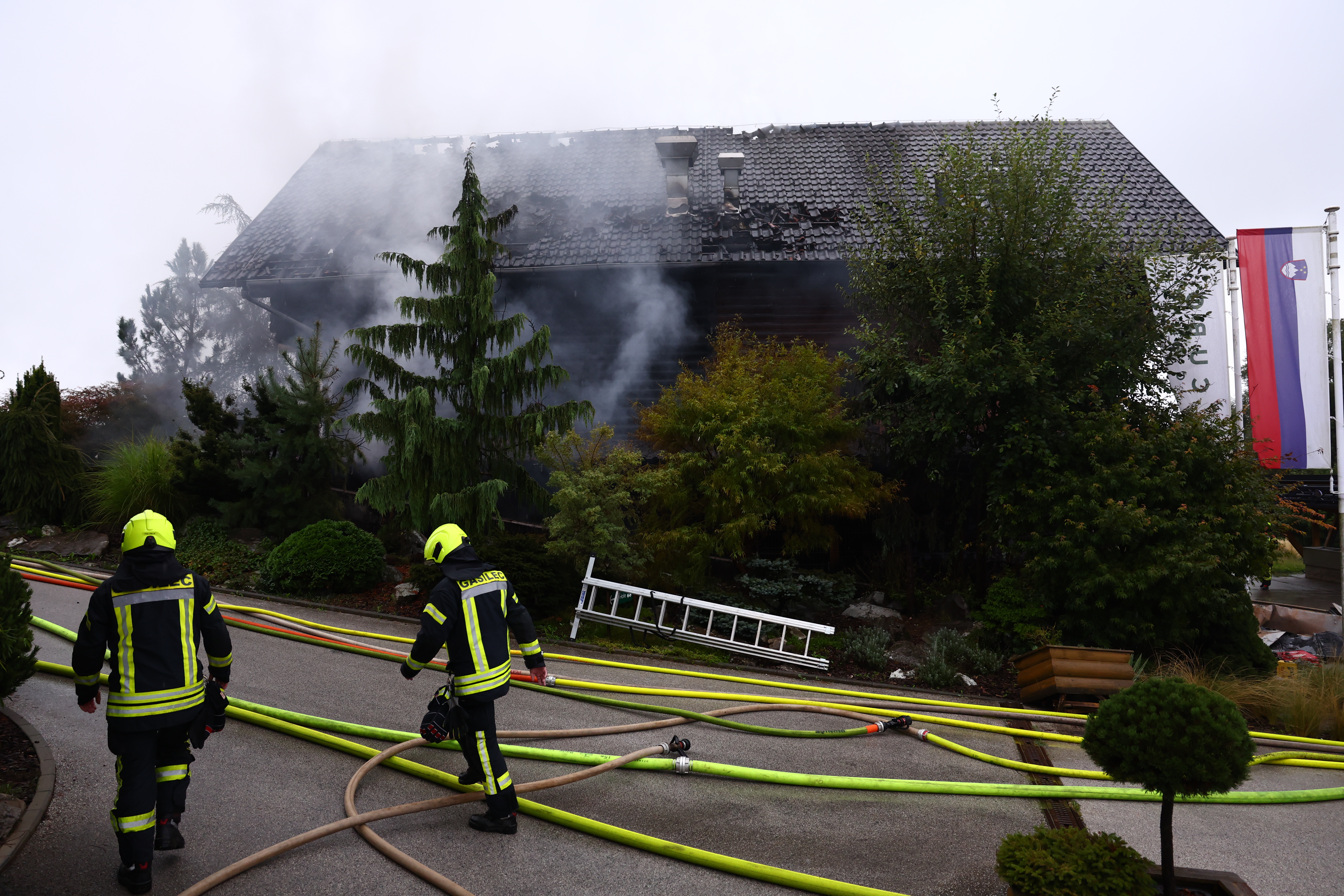 Foto: Borut Živulović/BOBO