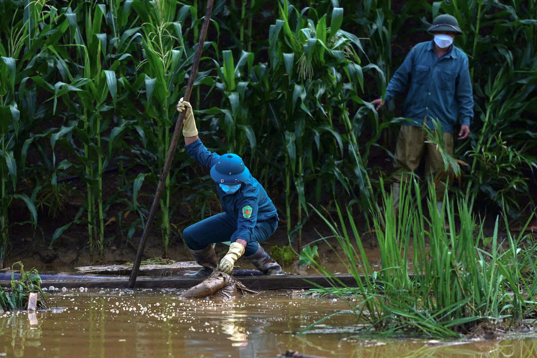 Prizor po pustošenju tajfuna Yagi (Foto: PROFIMEDIA)