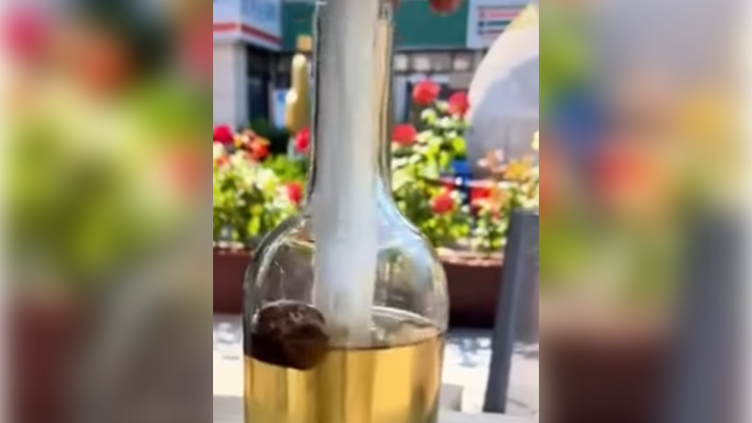 high-res-image - 2024-09-16T093625.620