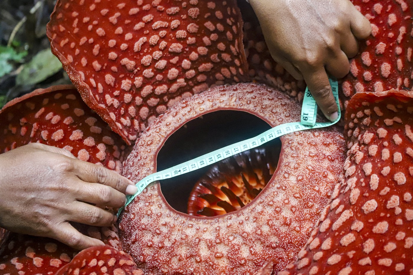 Foto: Adi Prima/Anadolu//PROFIMEDIA