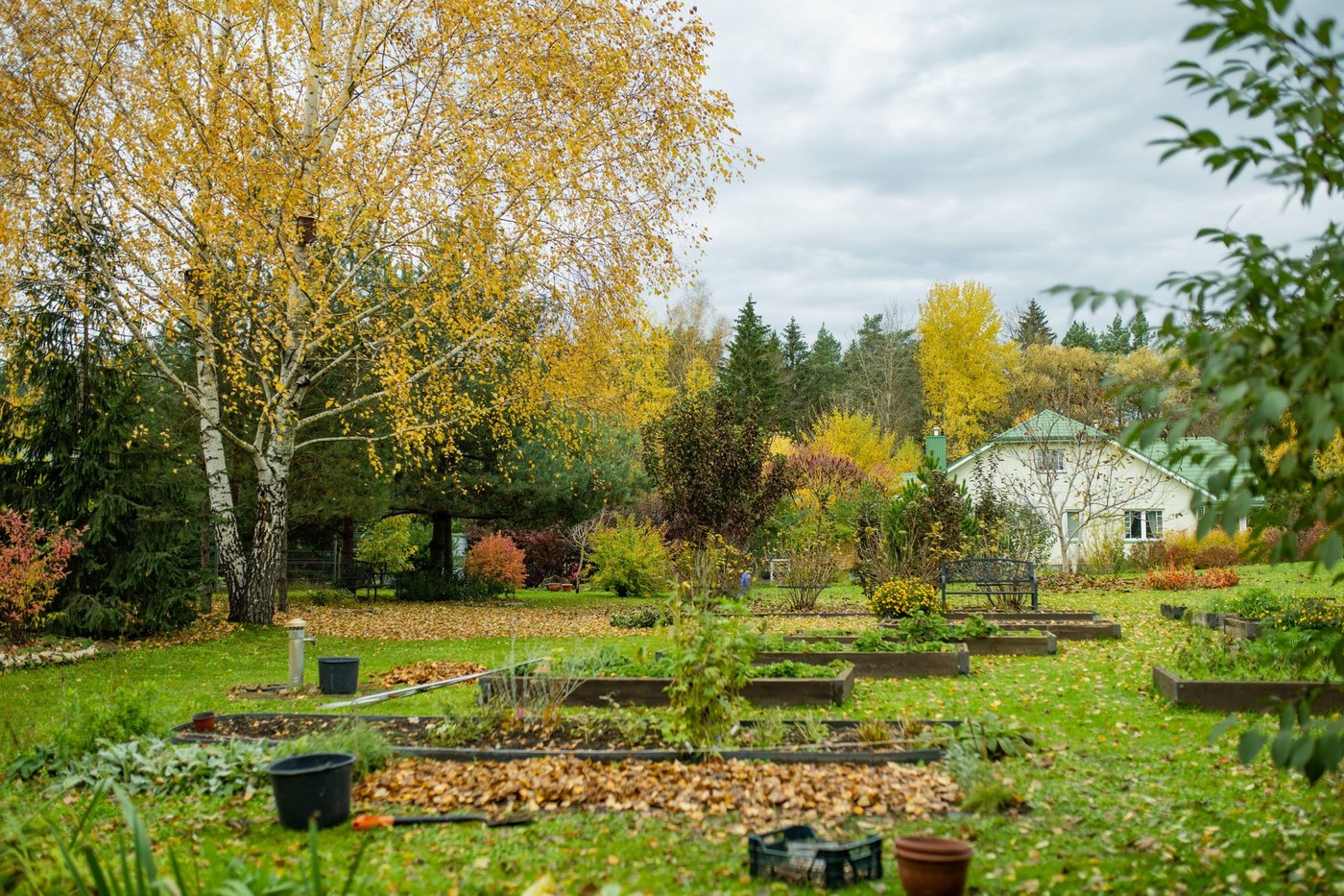 A garden on late autumn day. Fallen leaves on the ground. Growing own fruits and vegetables in a homestead. Gardening and lifestyle of self-sufficienc