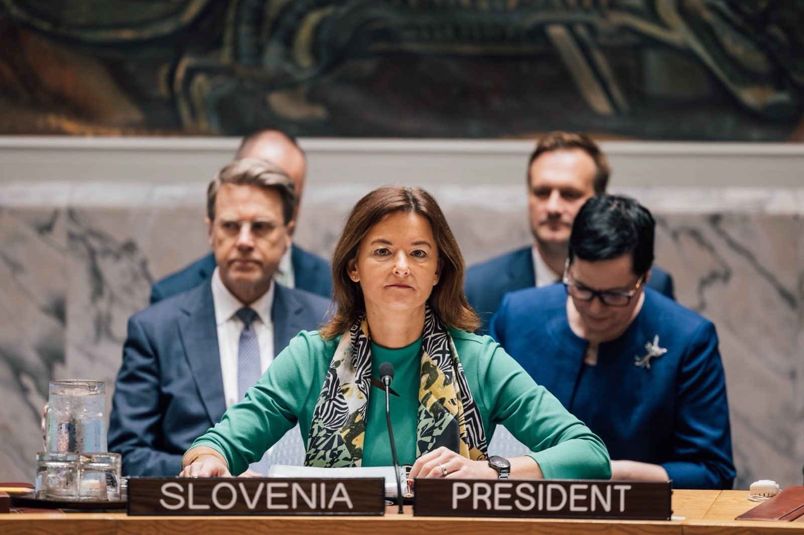 tanja fajon, varnostni svet zn