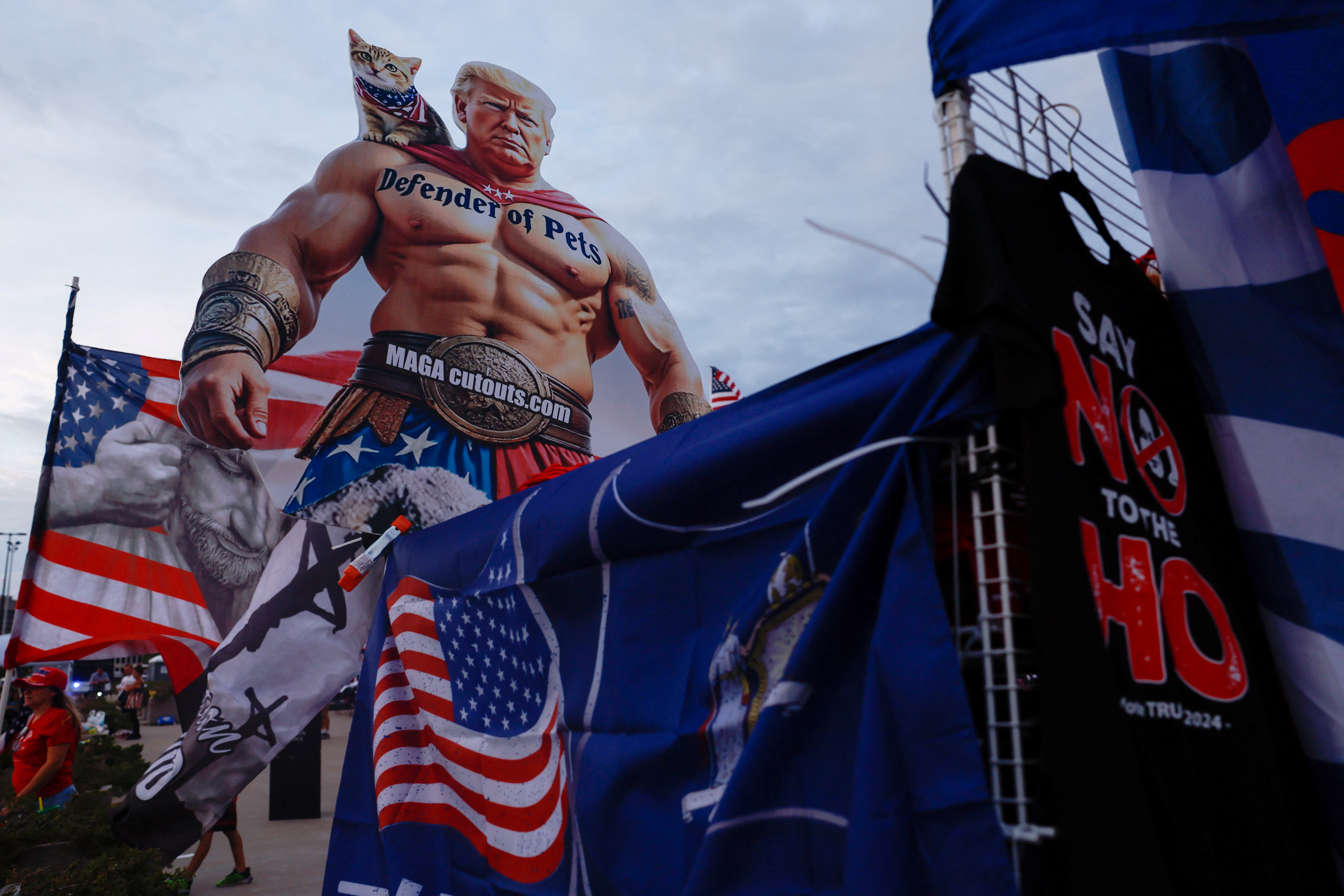 Donald Trump, volitve, ZDA,