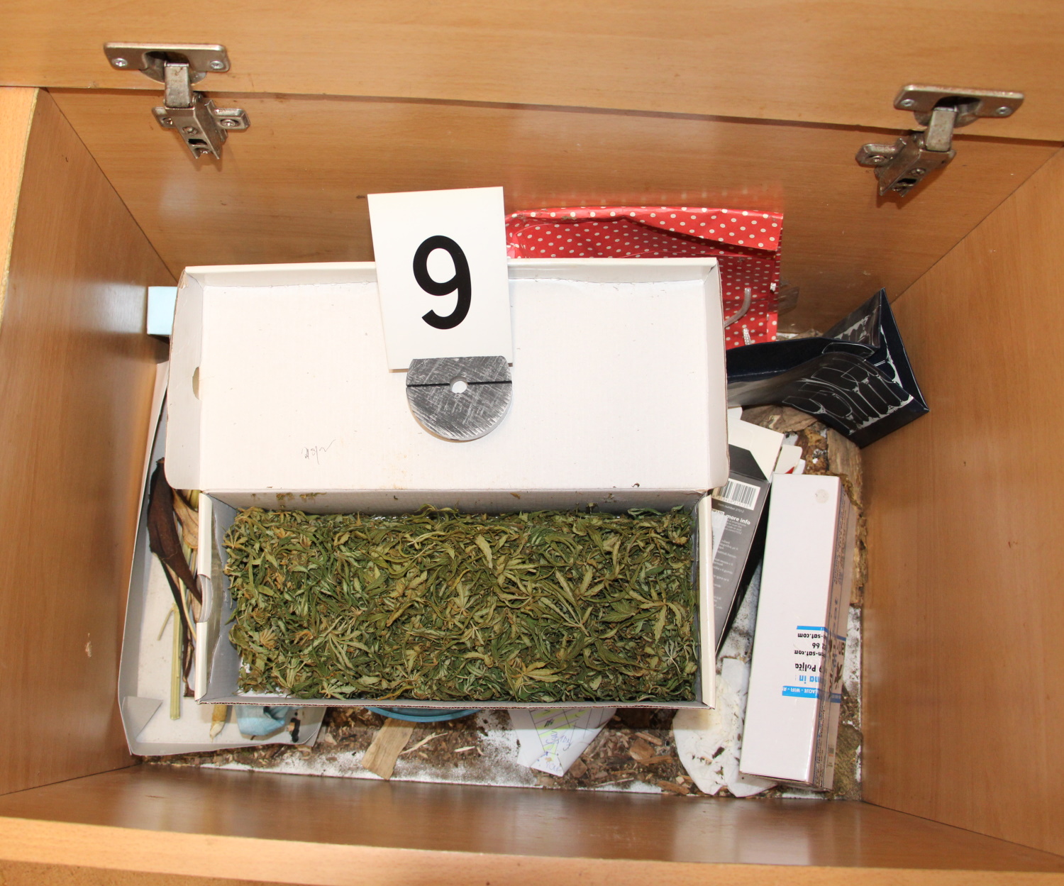 Foto: PU Nova Gorica