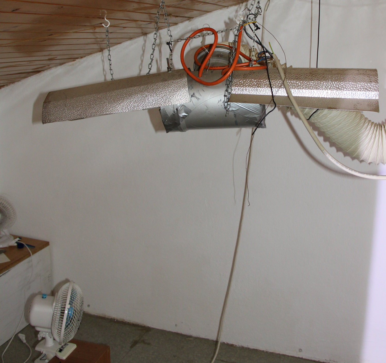 konoplja, pu nova gorica