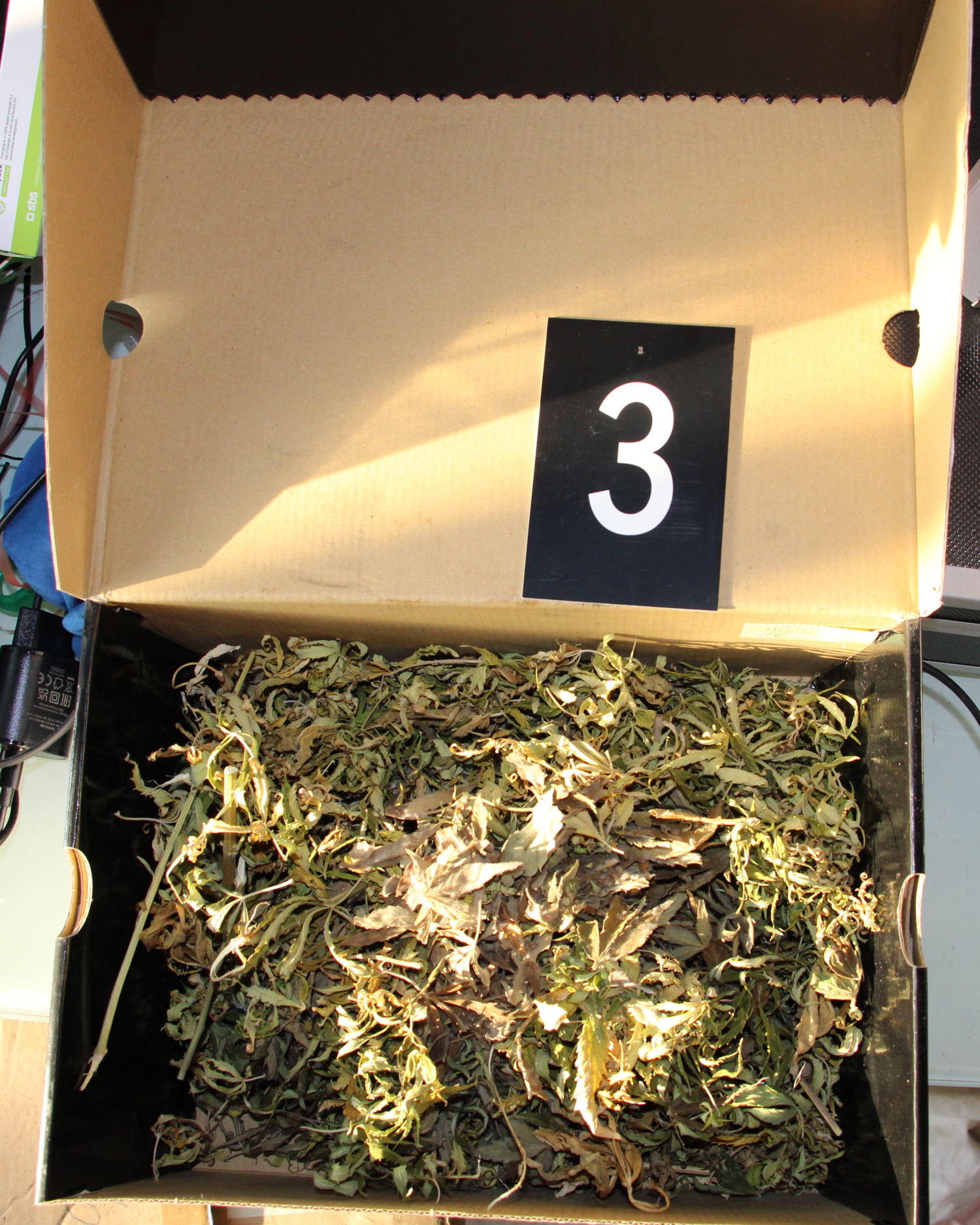 konoplja, pu nova gorica