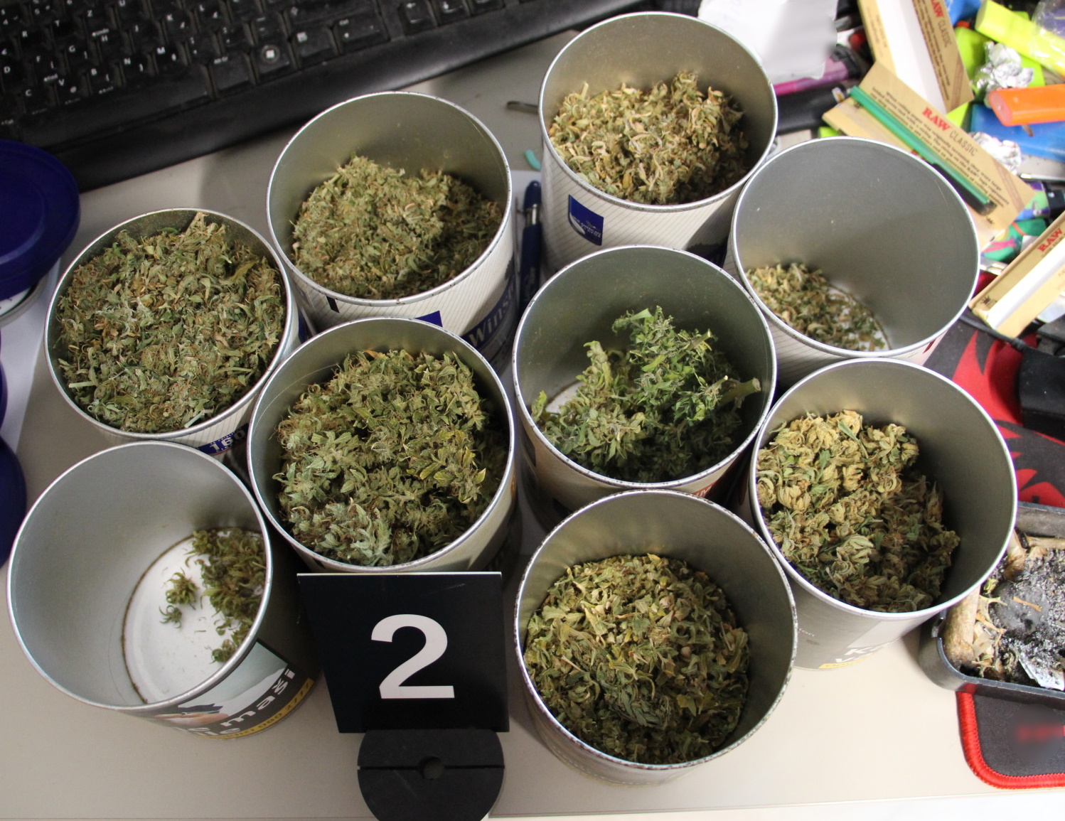 konoplja, pu nova gorica