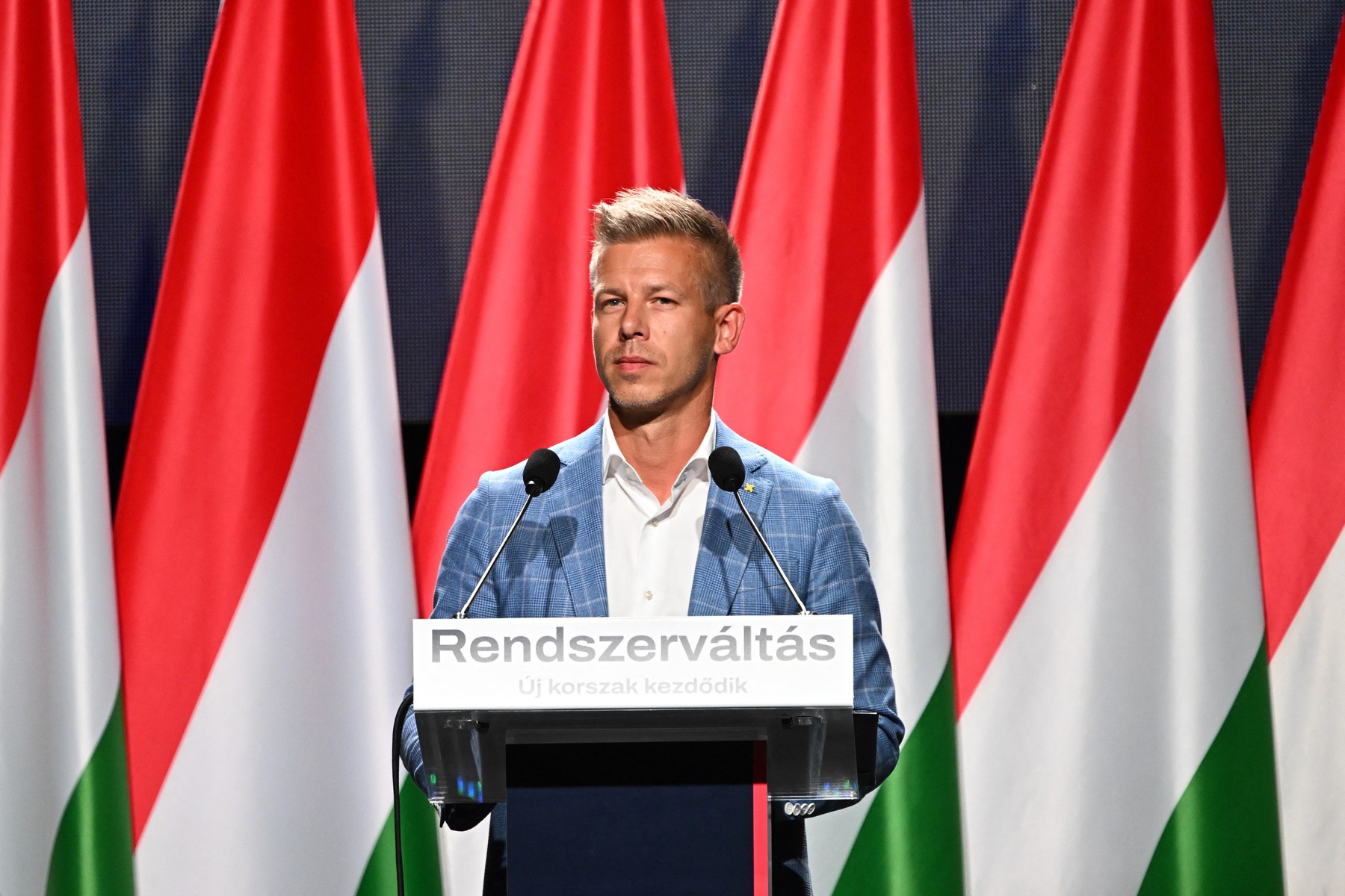 peter magyar, madžarski evroposlanec