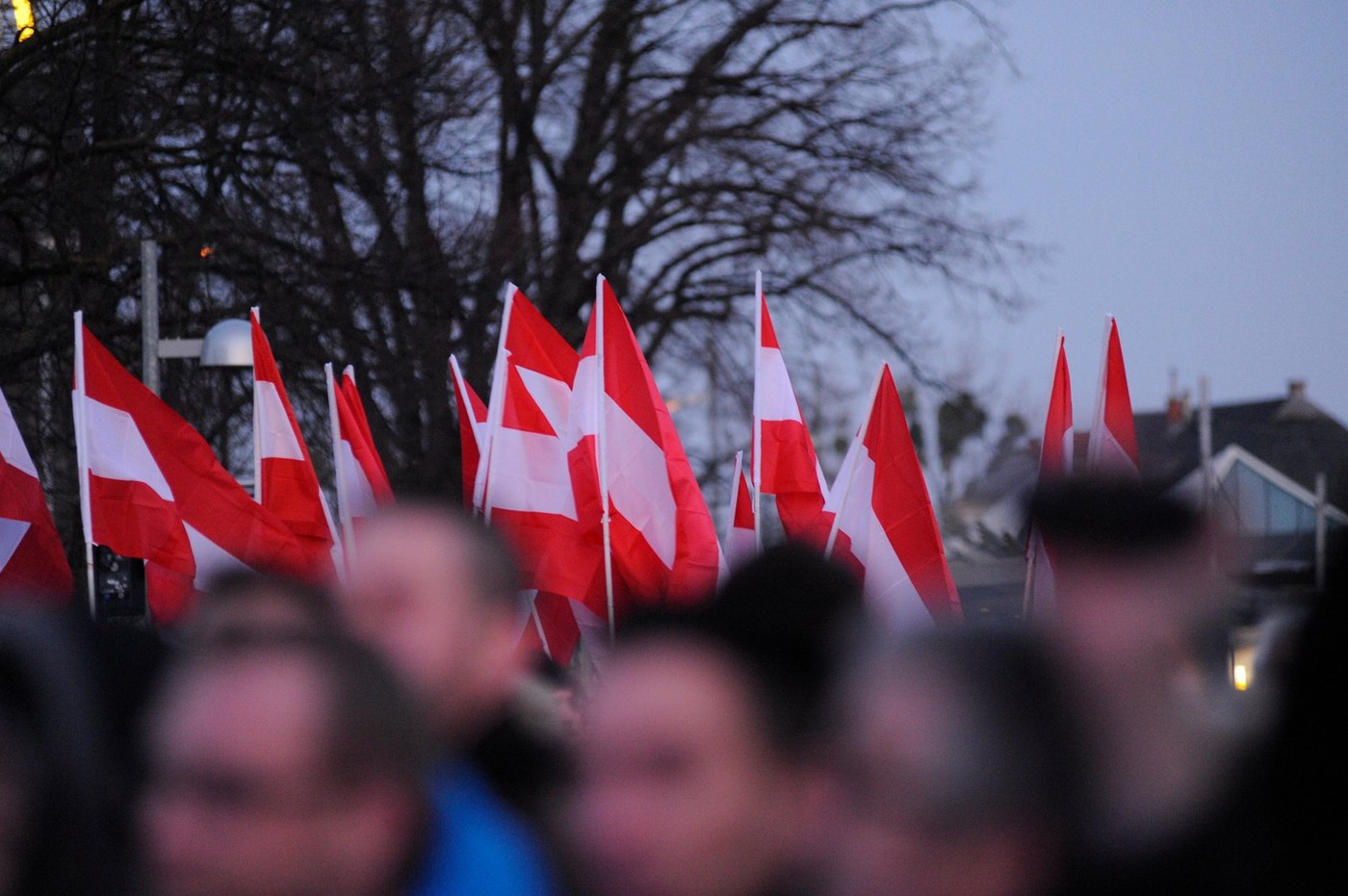 Avstrija, Dunaj, zastava, volitve