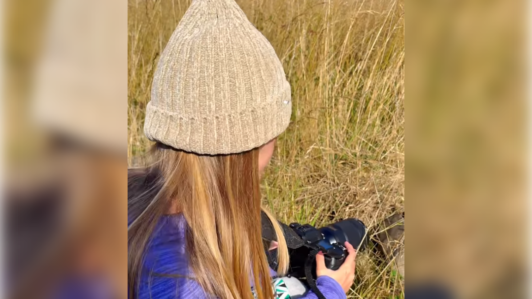 high-res-image - 2024-09-30T152032.479