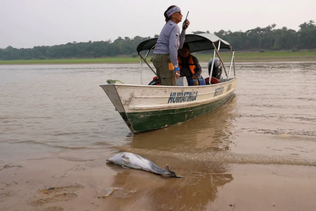 1727709505-2024-09-19t131751z-631580719-rc203aacyk92-rtrmadp-3-brazil-environment-amazon-1024x683.webp