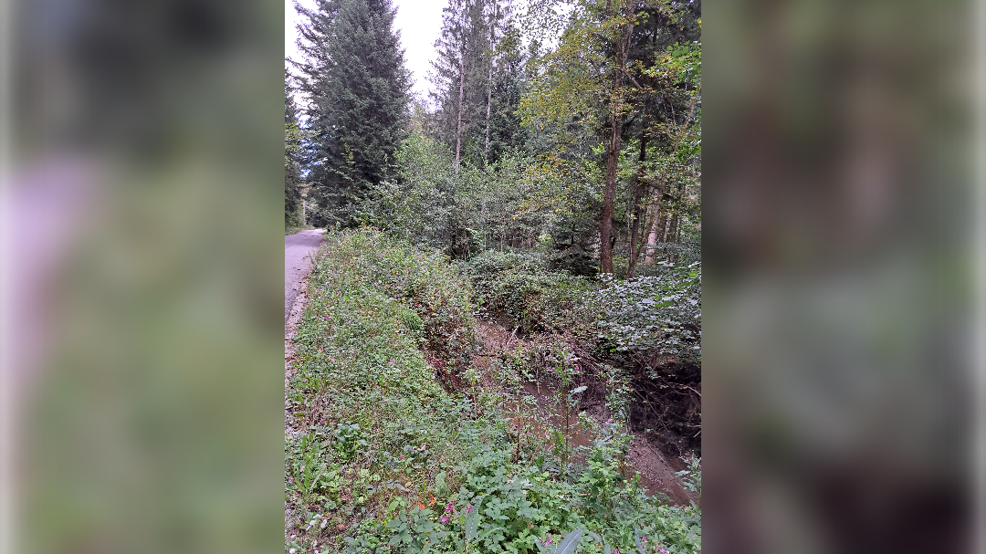 Vodotoki v Komendi (Foto: bralka)