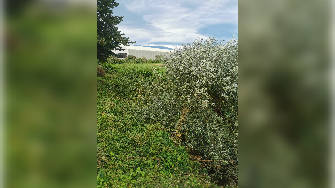 komenda, vodotoki, poplave