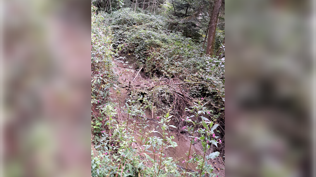 komenda, vodotoki, poplave