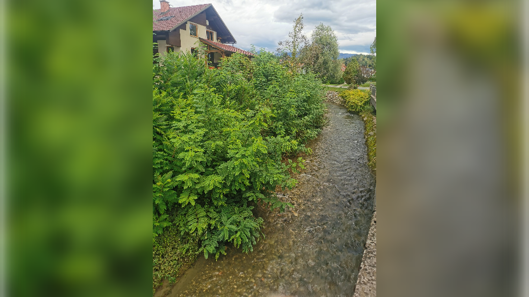 komenda, vodotoki, poplave