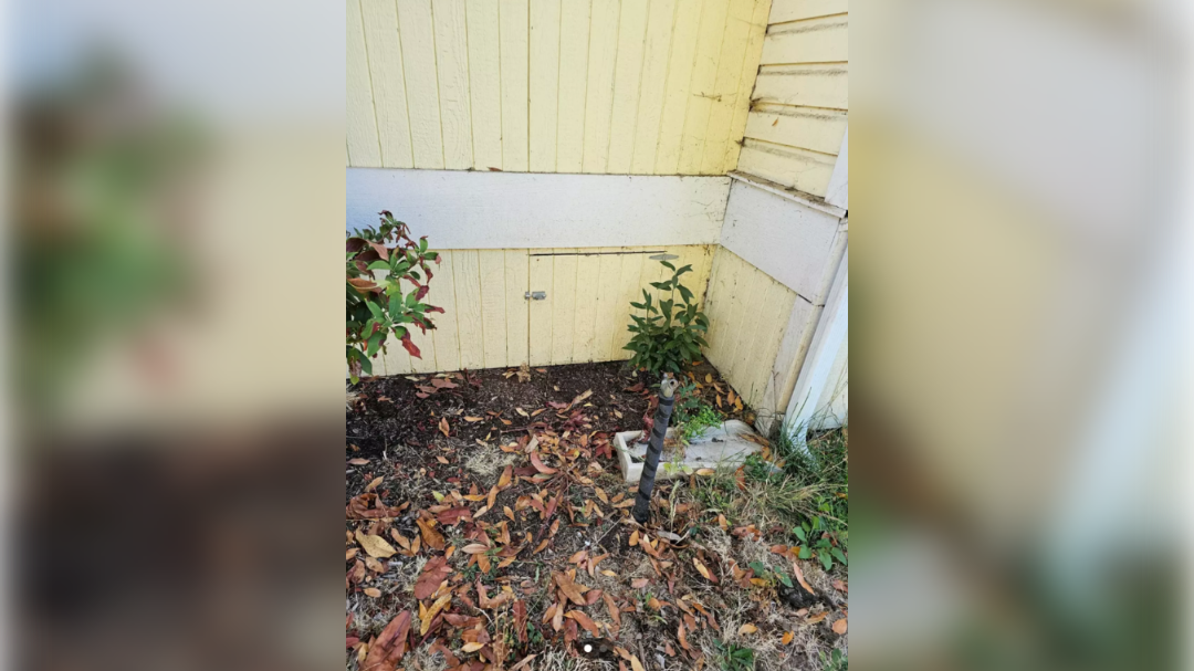 high-res-image - 2024-10-02T113659.310