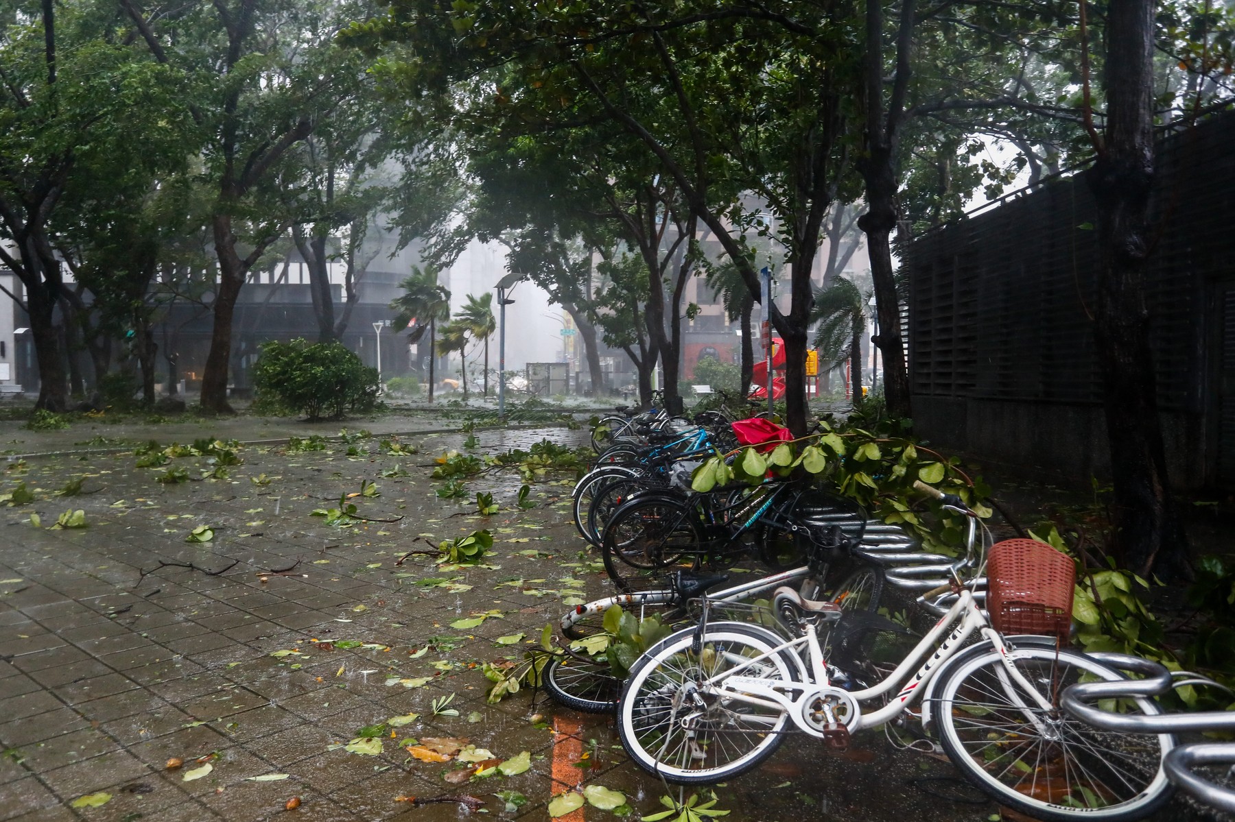 Prizor iz Tajvana (Foto: PROFIMEDIA)